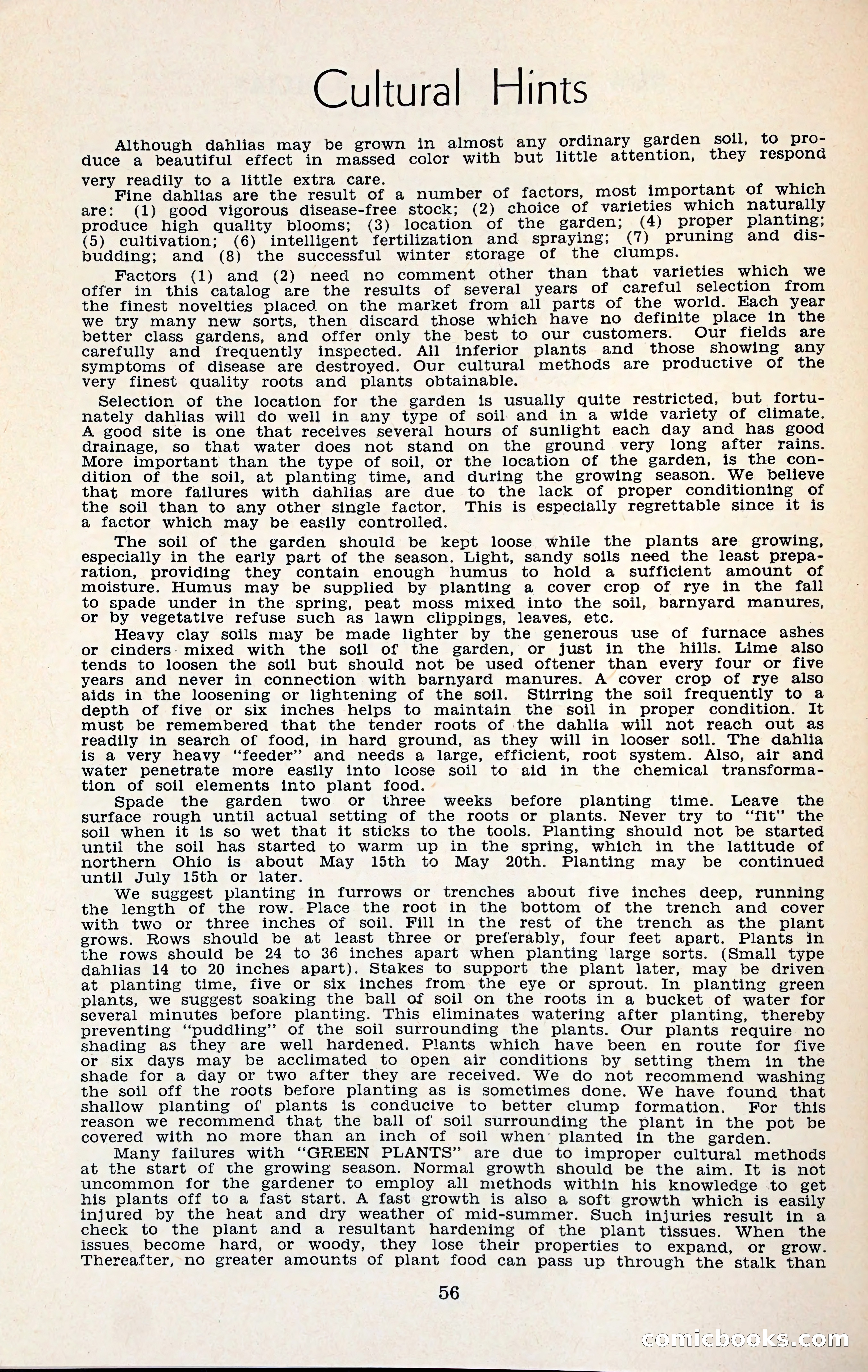 The Dahlia Blue Book for 1960 — page 59 of 69