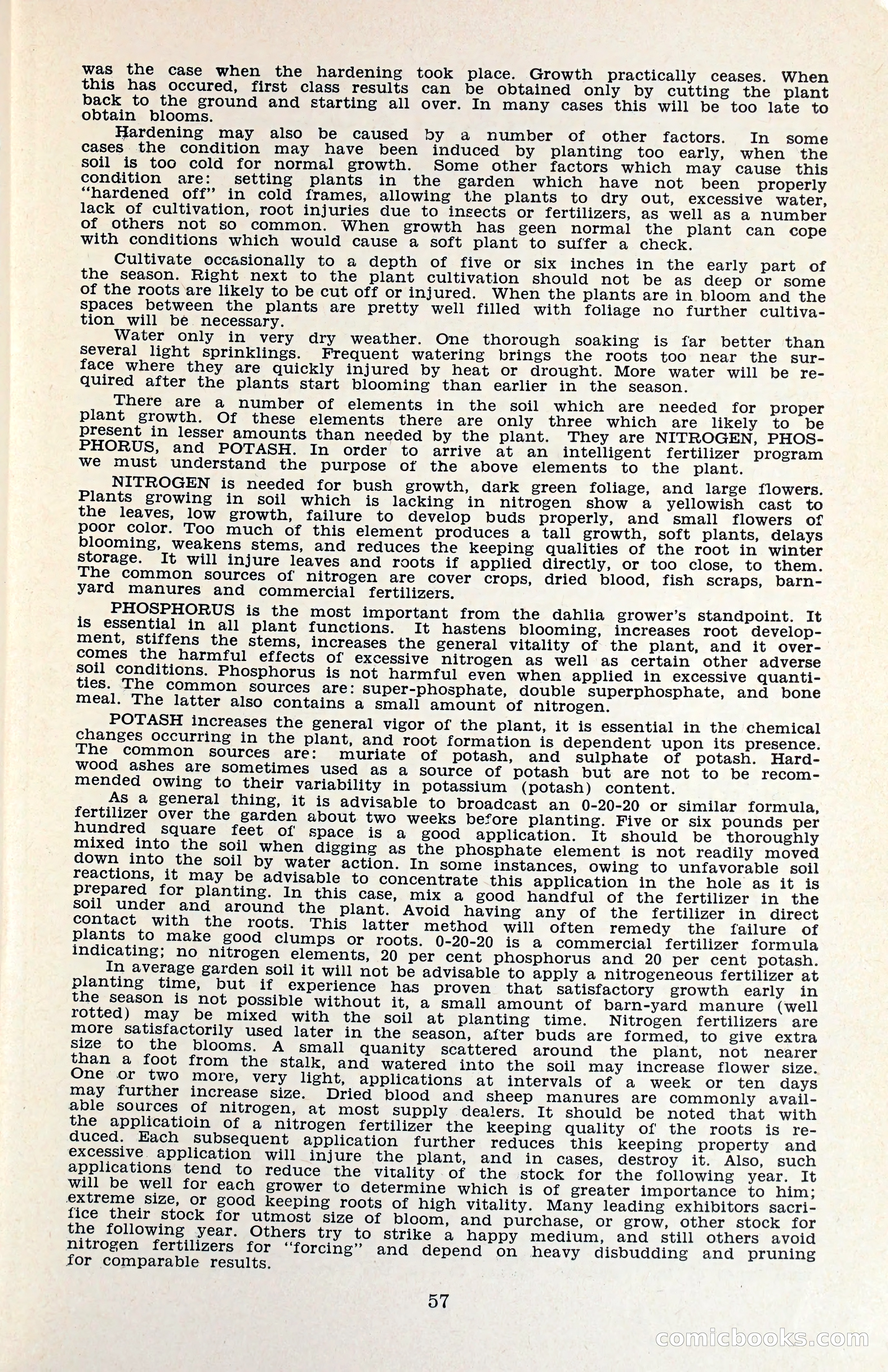 The Dahlia Blue Book for 1960 — page 60 of 69