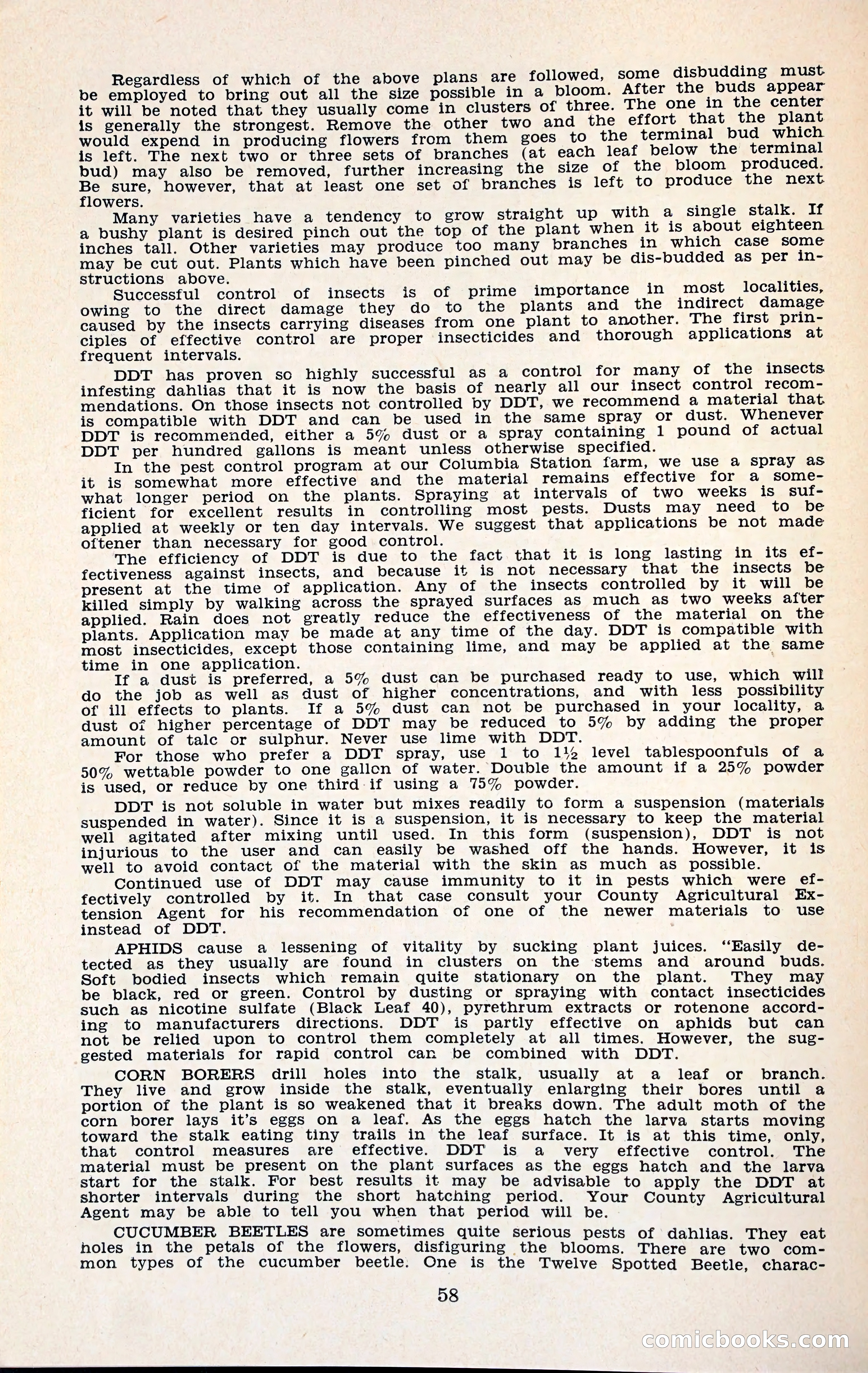 The Dahlia Blue Book for 1960 — page 61 of 69