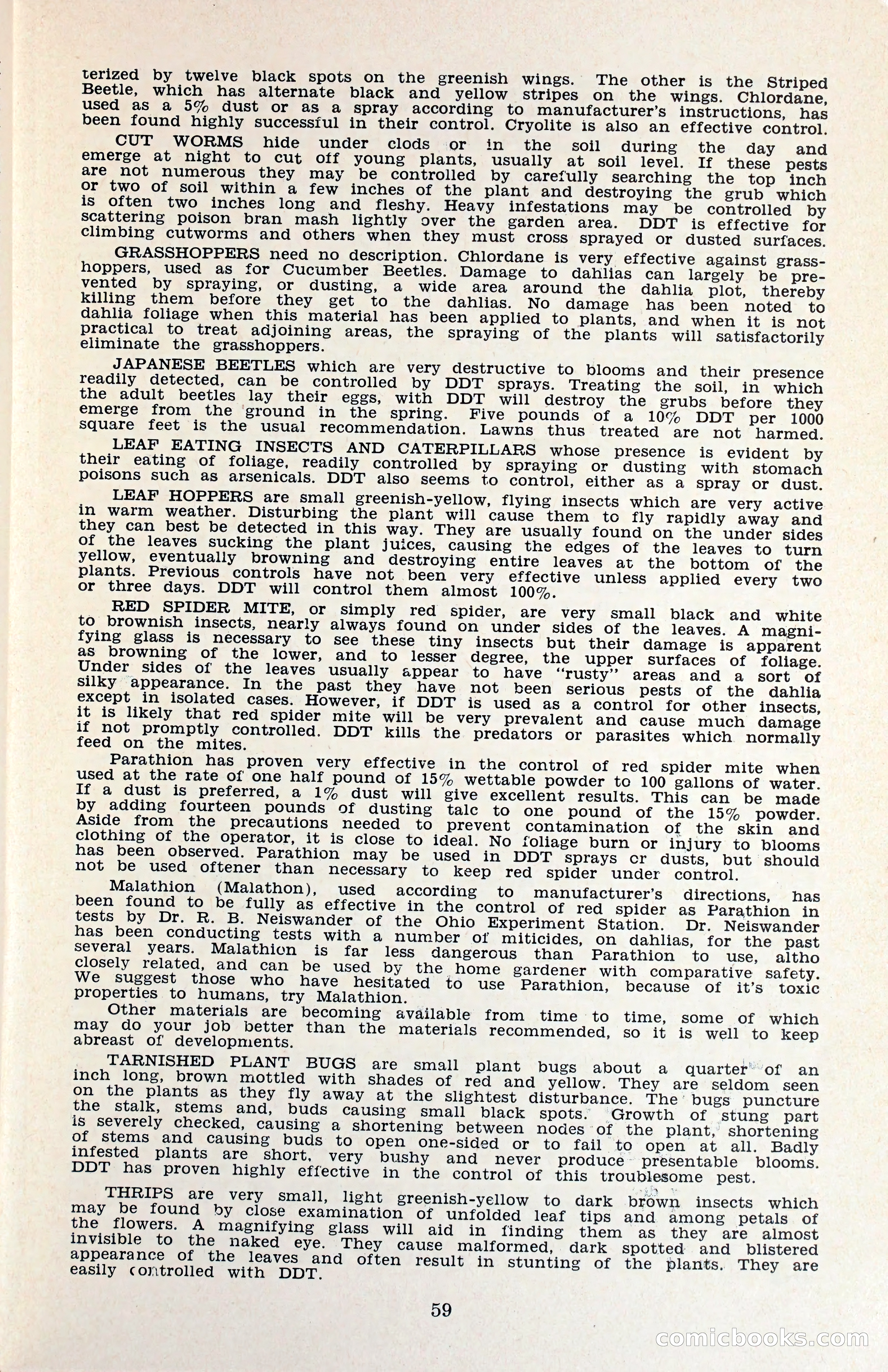 The Dahlia Blue Book for 1960 — page 62 of 69
