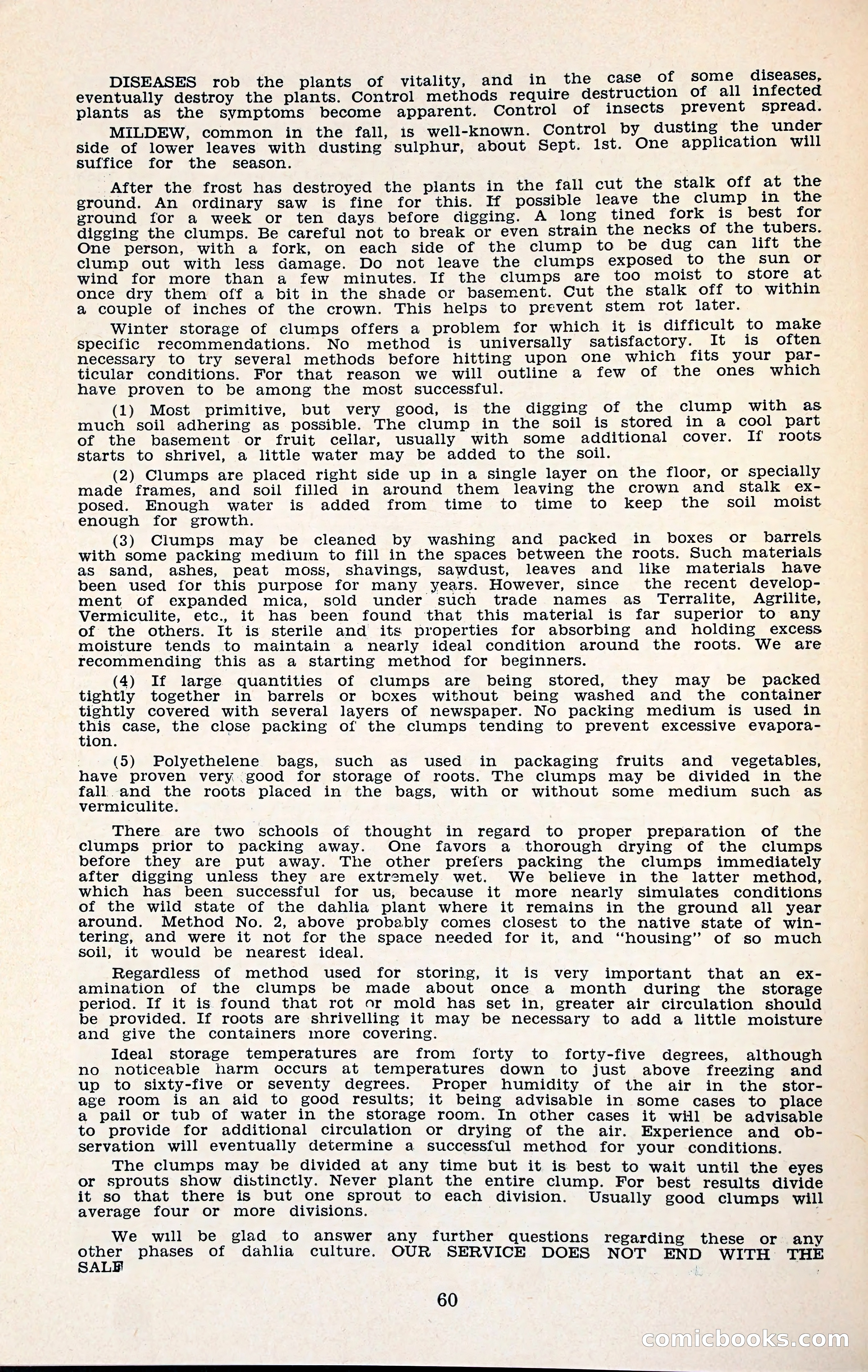 The Dahlia Blue Book for 1960 — page 63 of 69