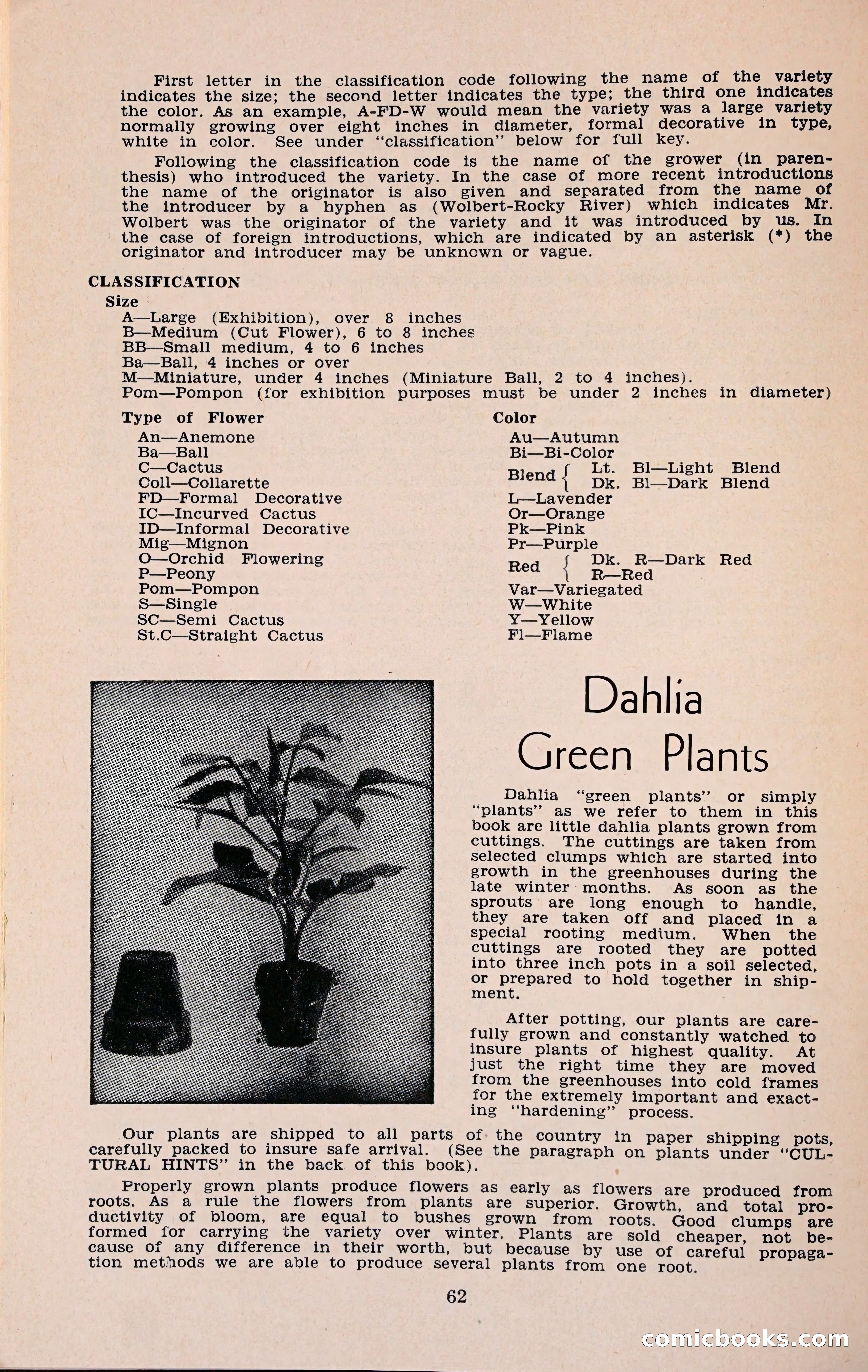 The Dahlia Blue Book for 1960 — page 65 of 69