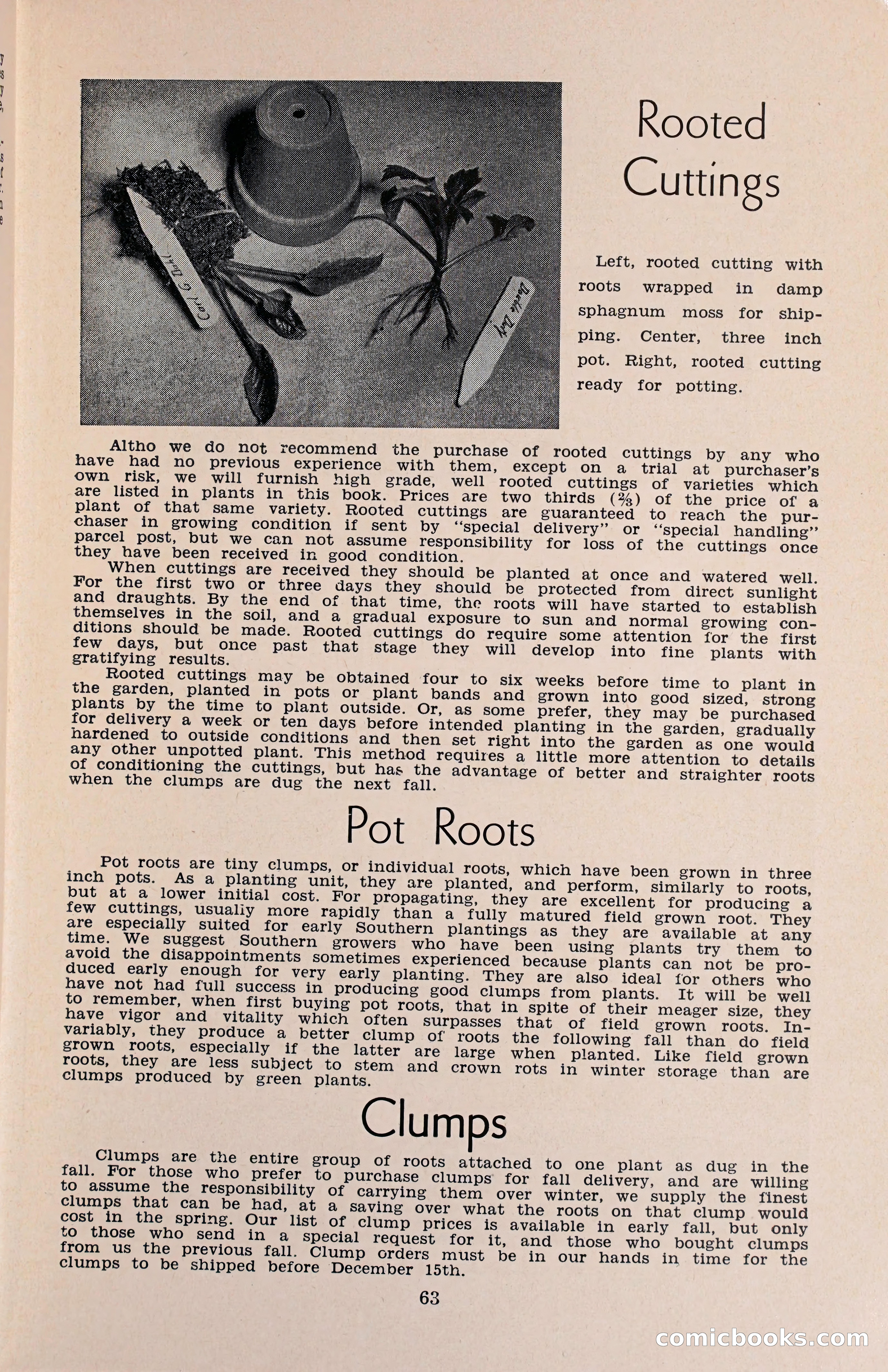 The Dahlia Blue Book for 1960 — page 66 of 69