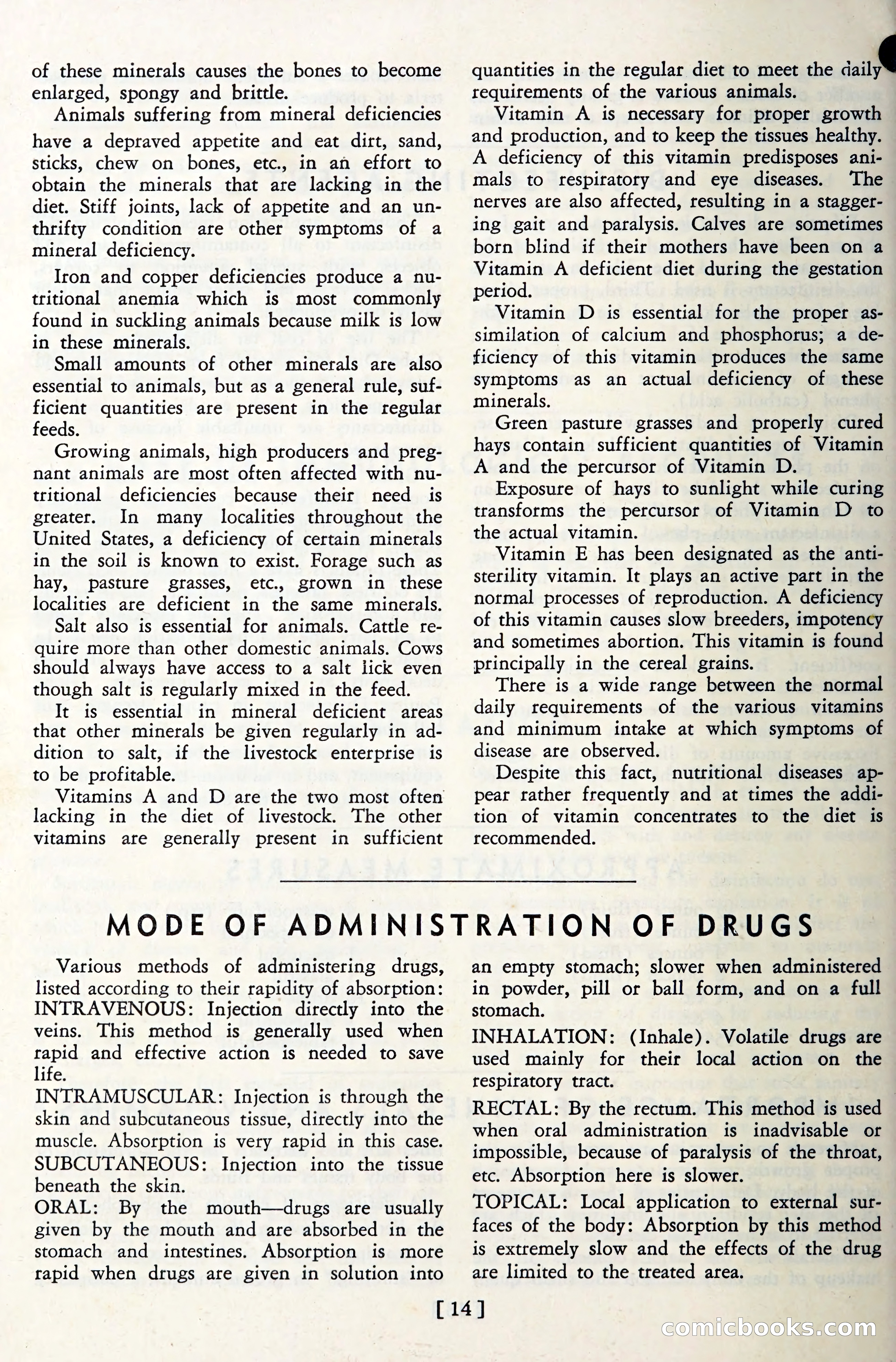 The Globe Blue Book — page 17 of 113