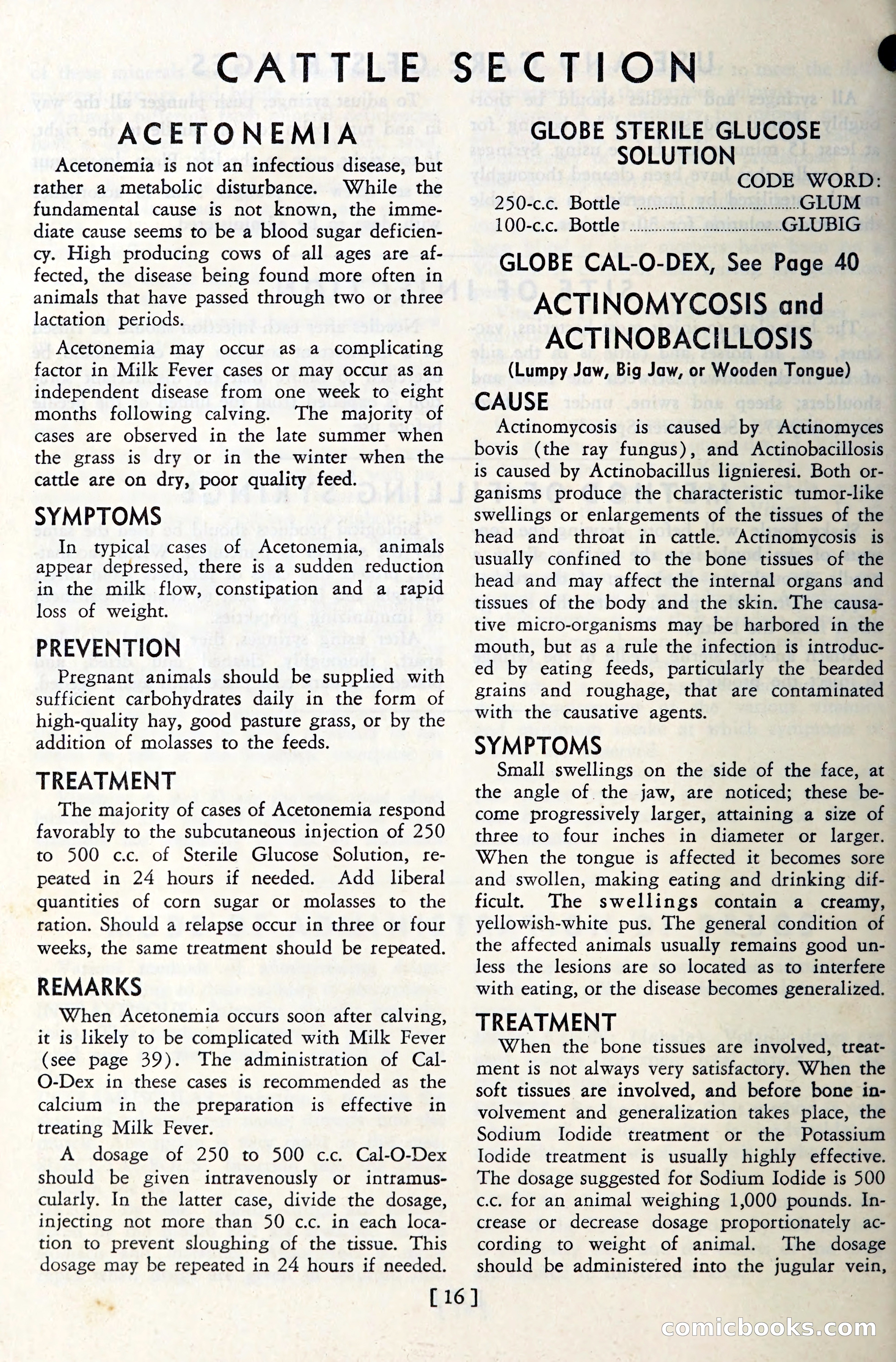 The Globe Blue Book — page 19 of 113