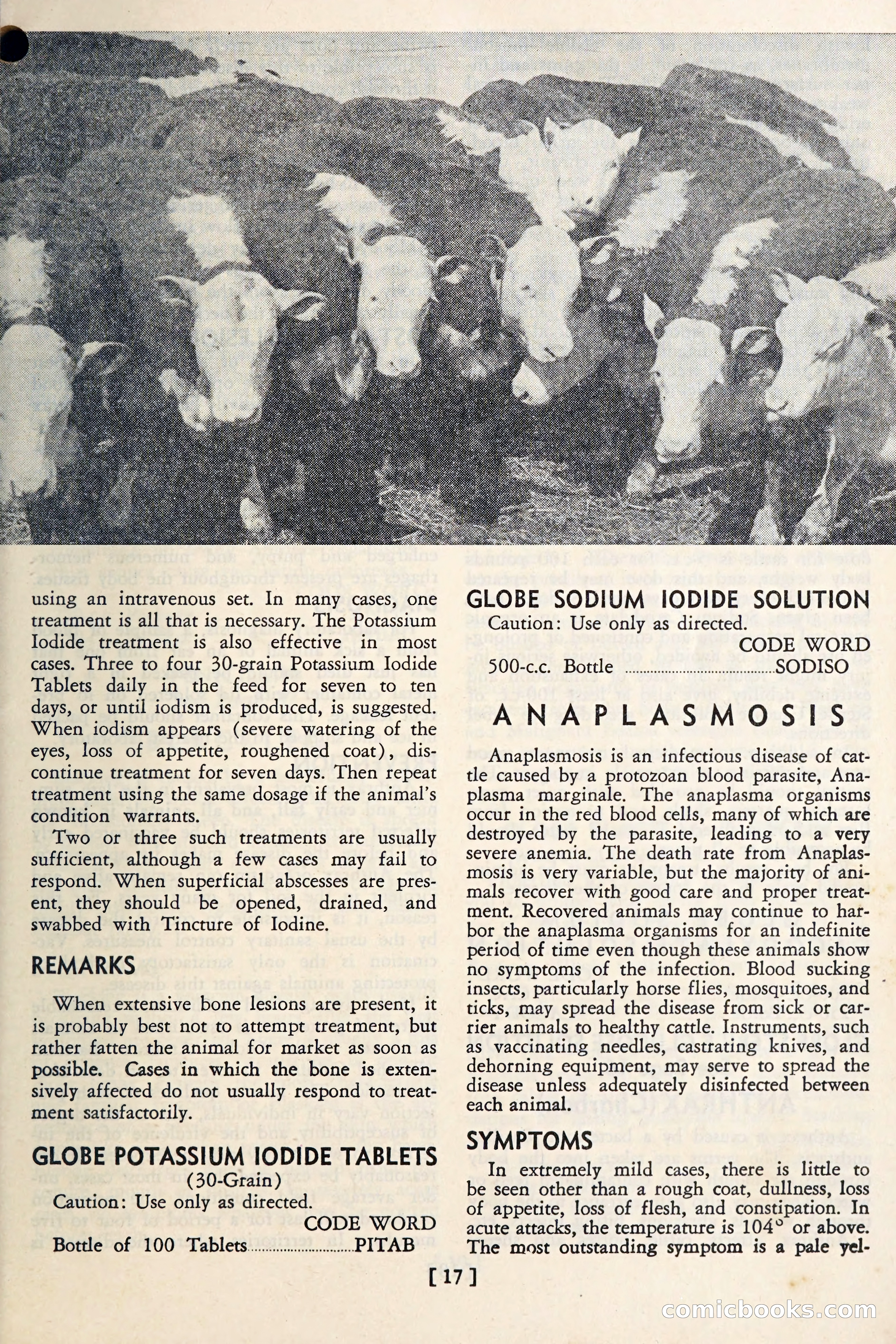The Globe Blue Book — page 20 of 113