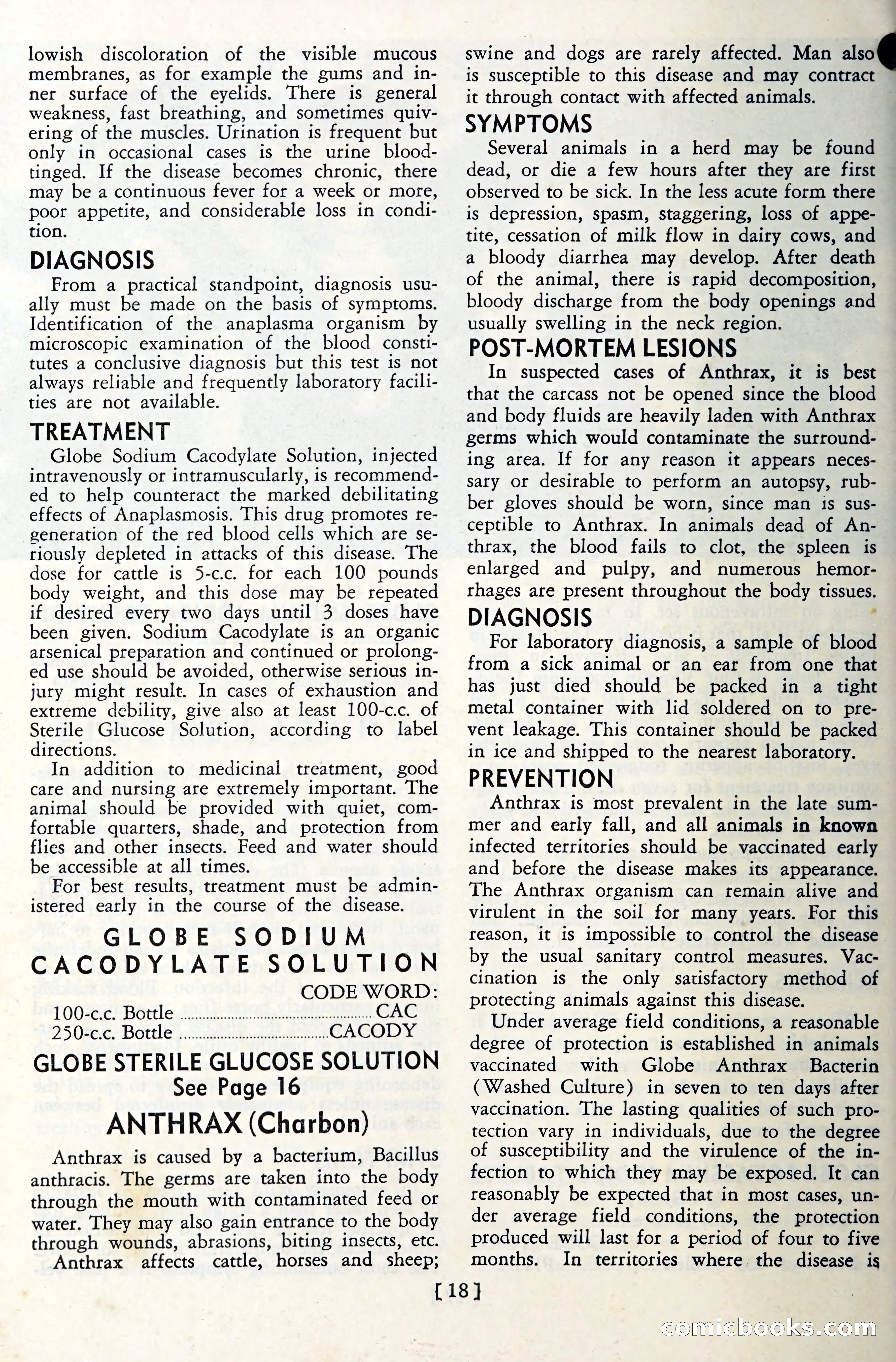 The Globe Blue Book — page 21 of 113