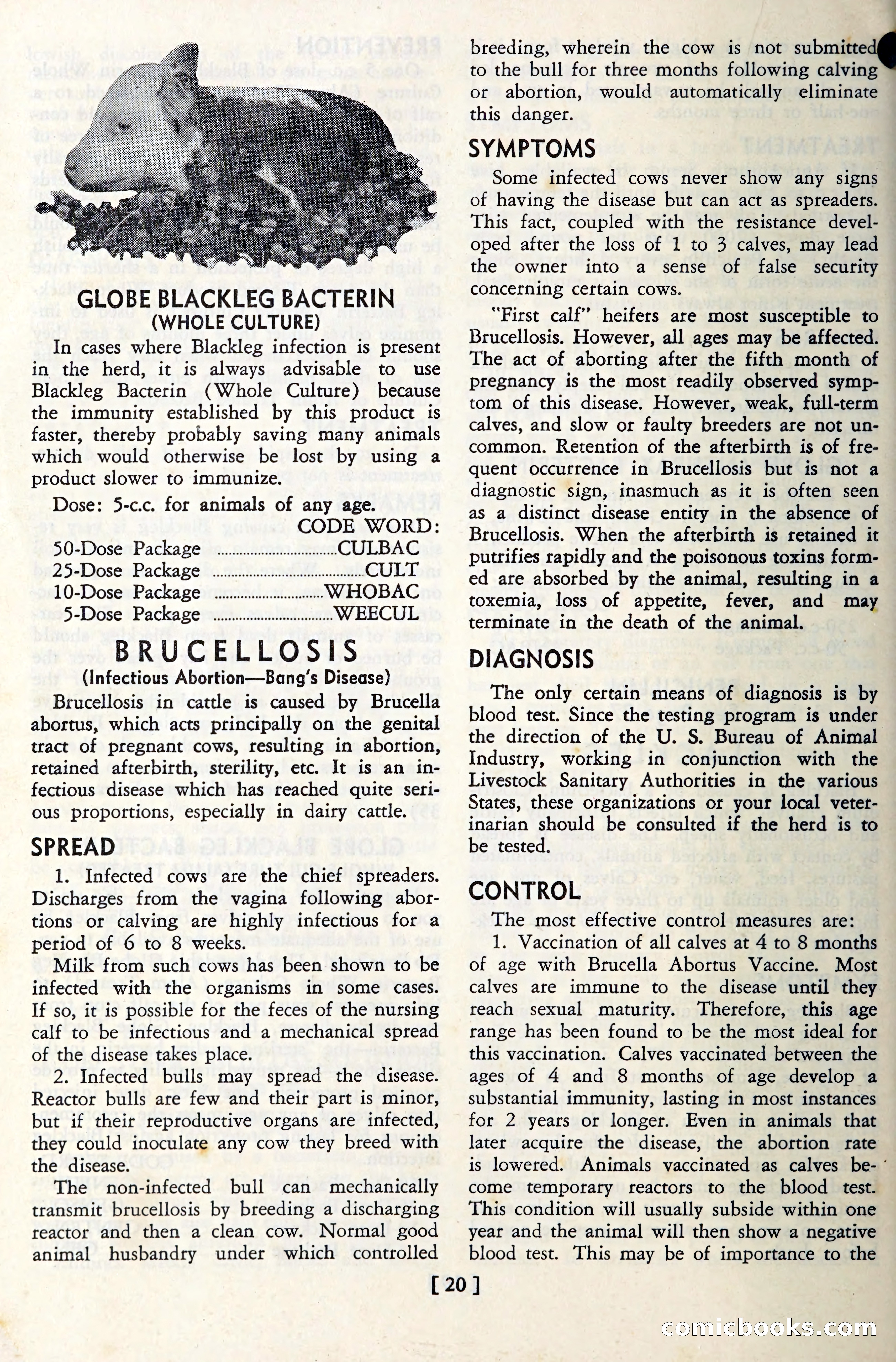 The Globe Blue Book — page 23 of 113