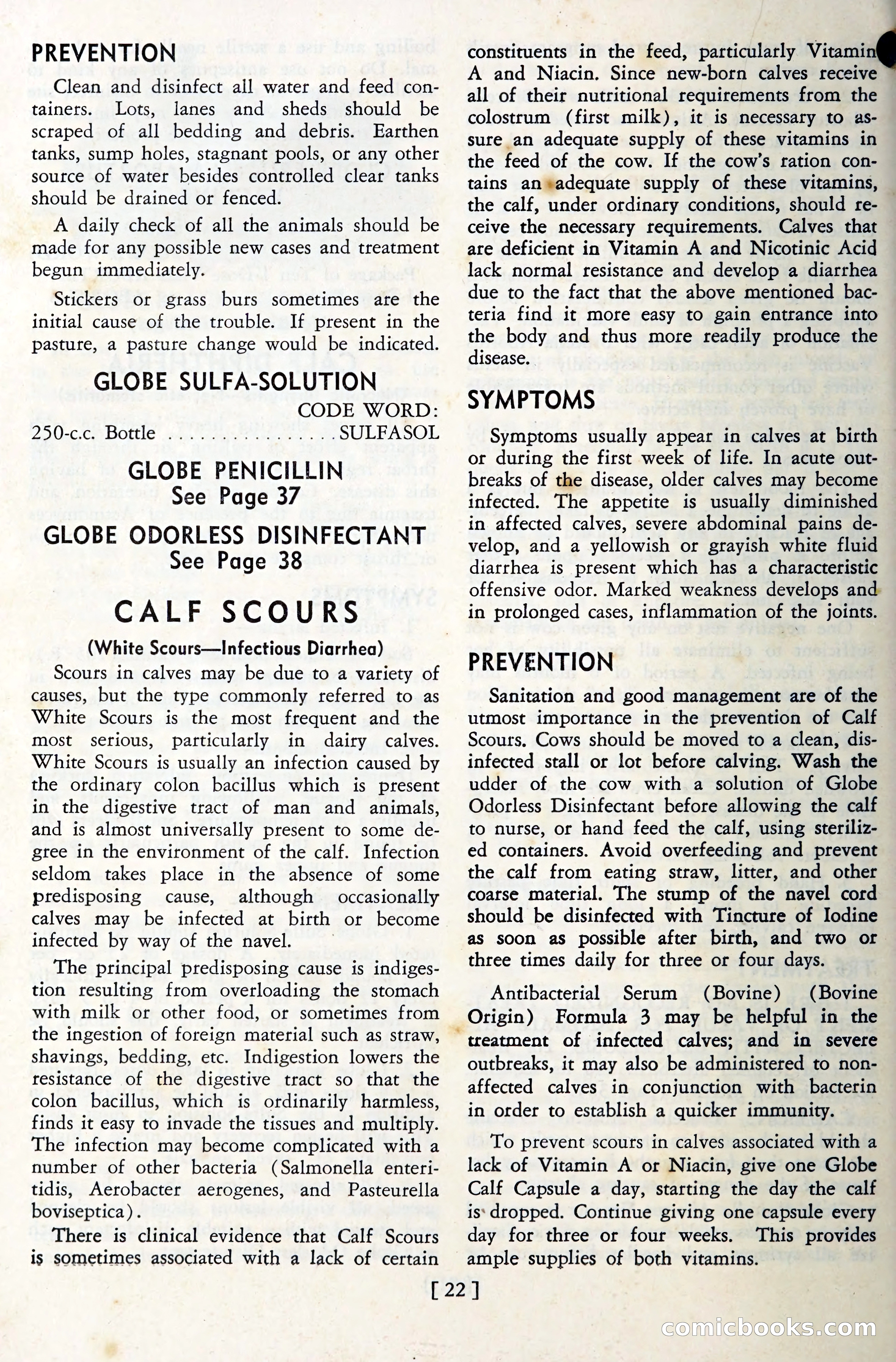 The Globe Blue Book — page 25 of 113
