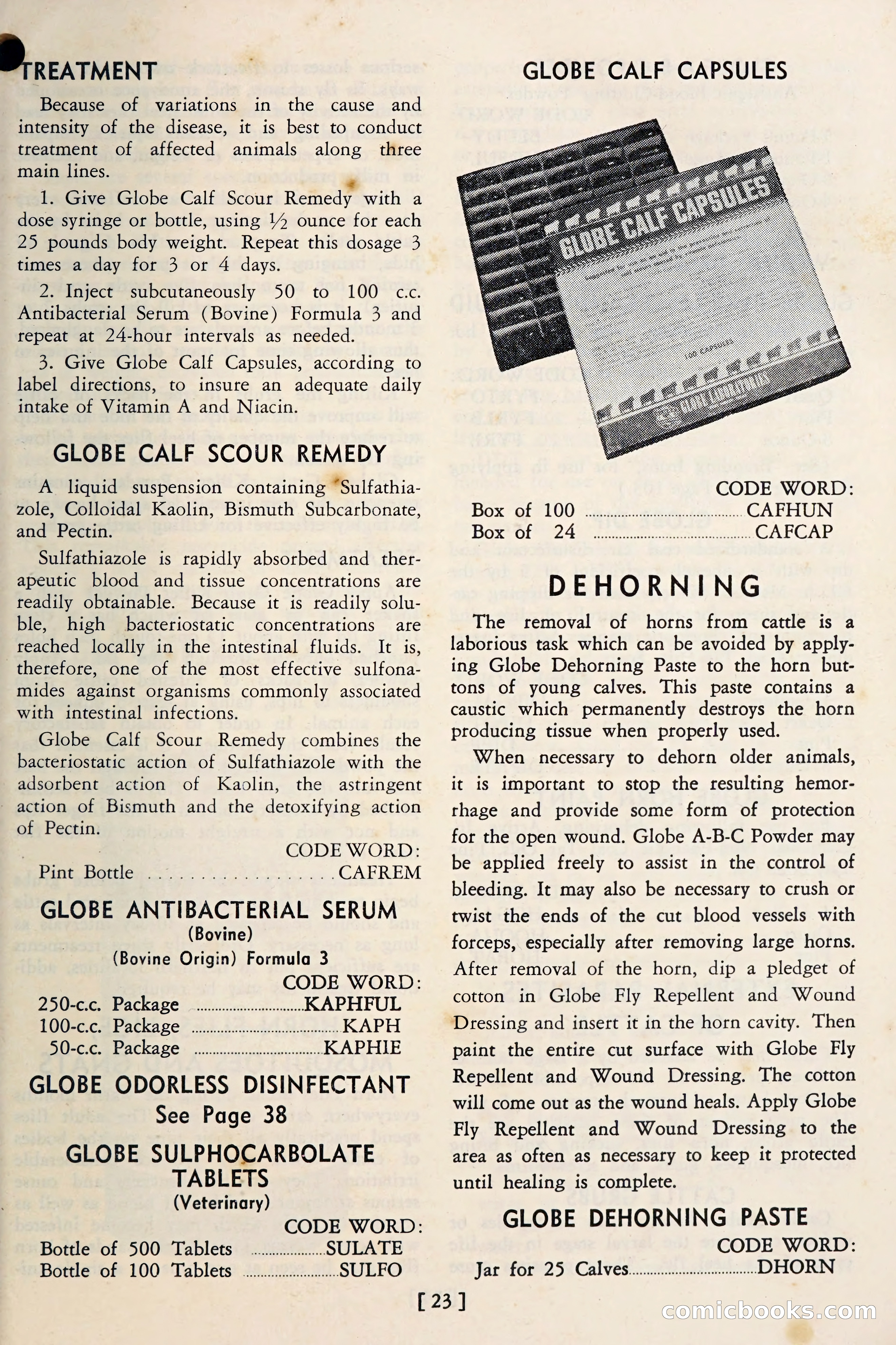 The Globe Blue Book — page 26 of 113