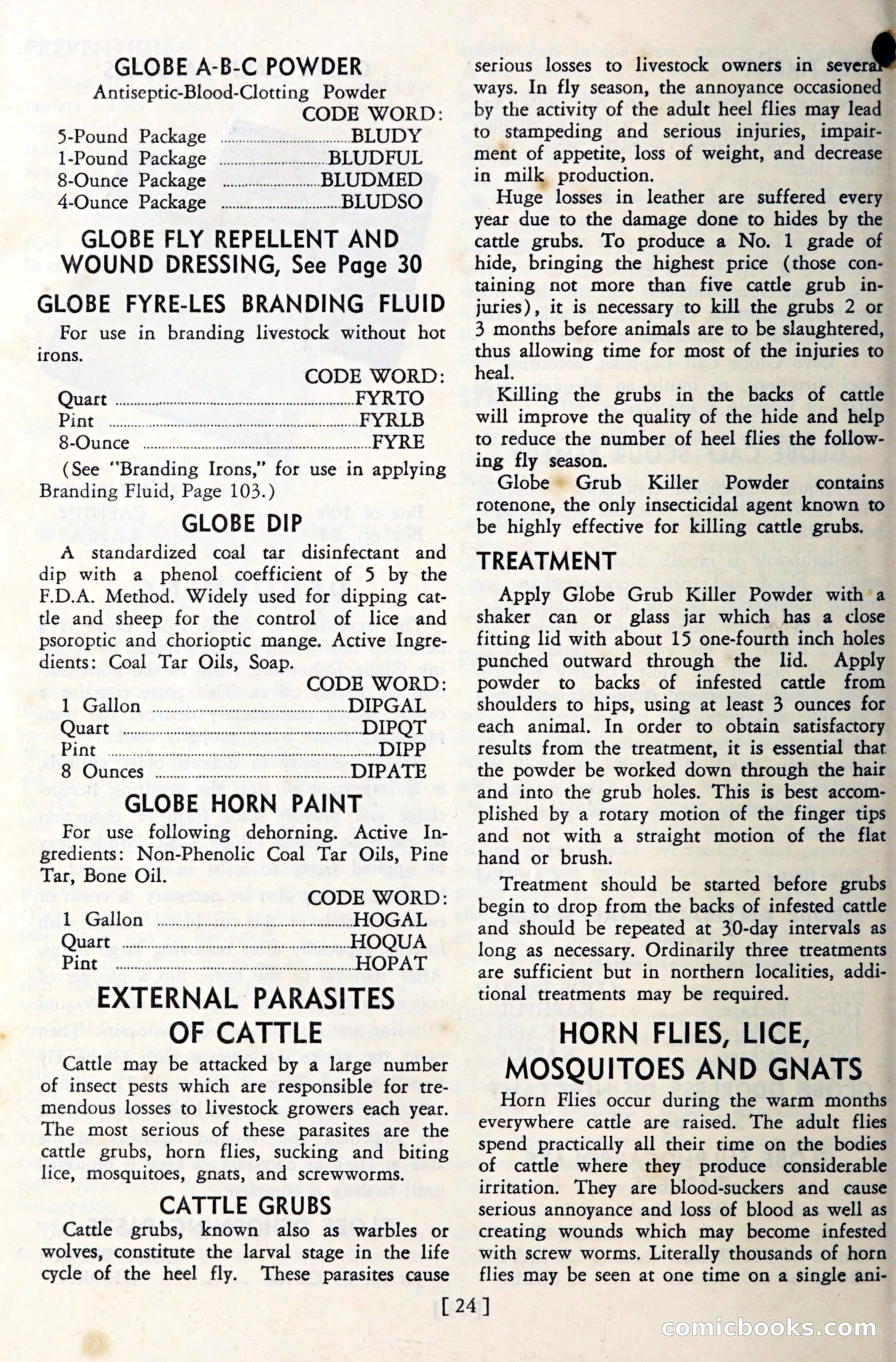 The Globe Blue Book — page 27 of 113