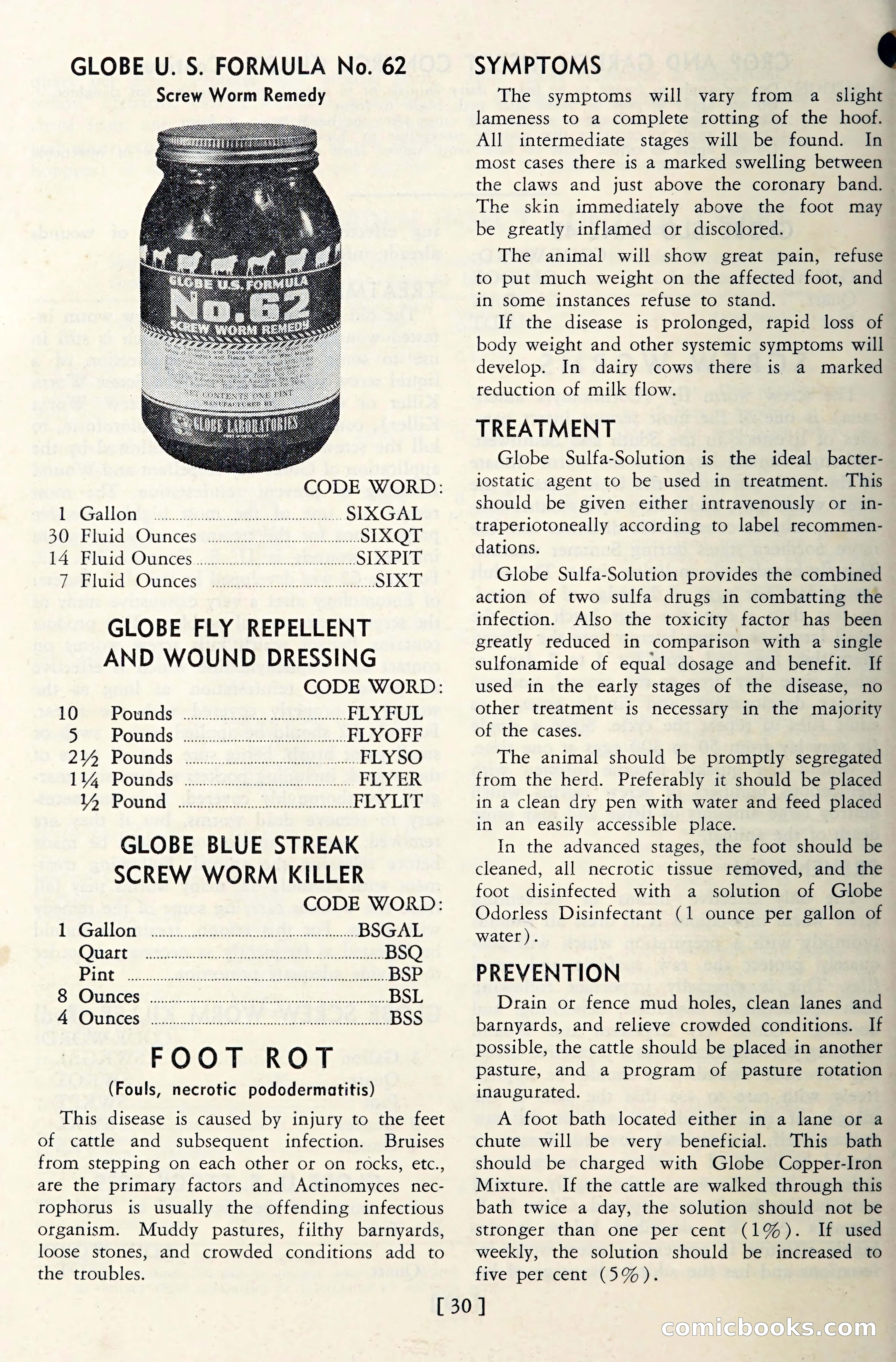 The Globe Blue Book — page 33 of 113