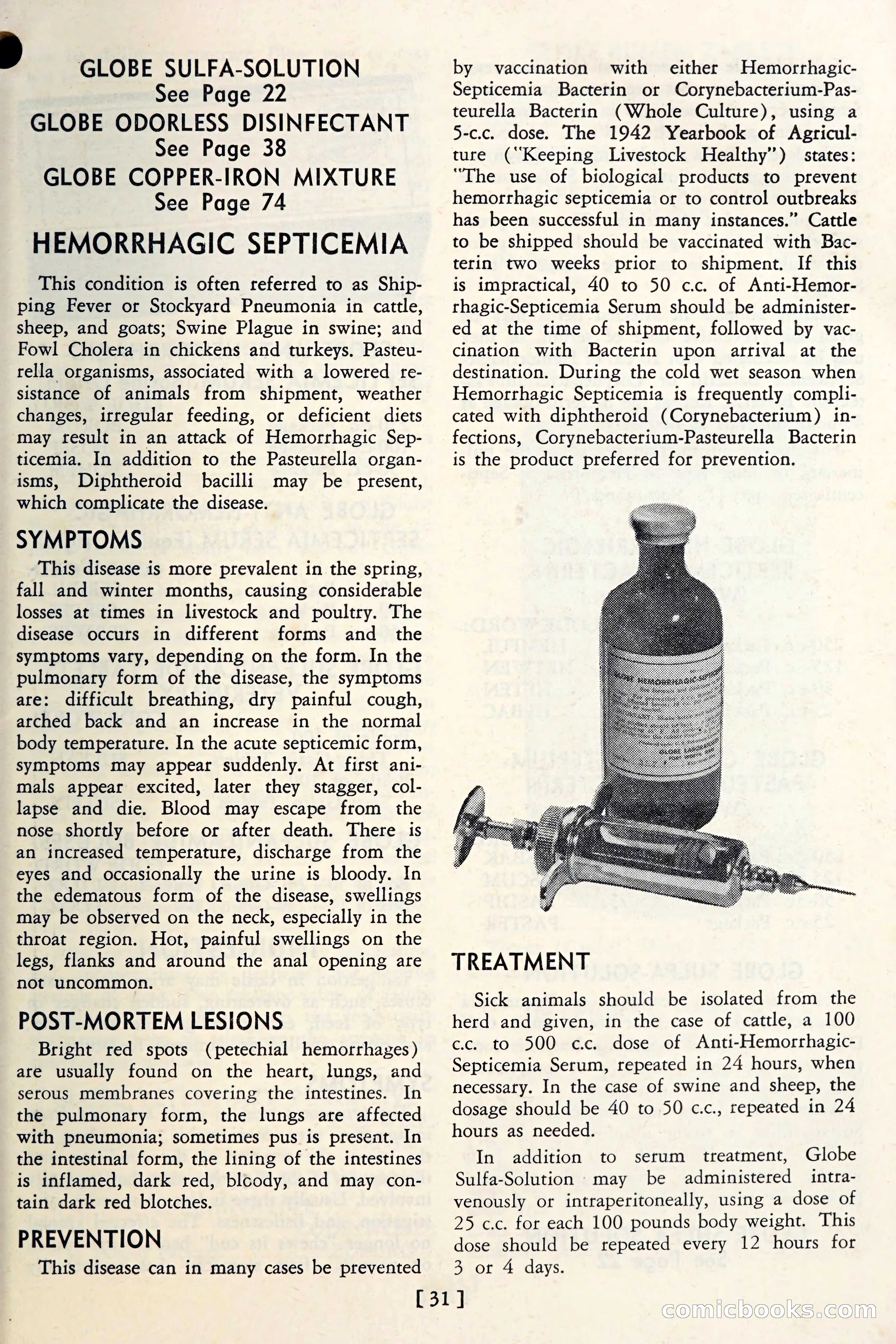 The Globe Blue Book — page 34 of 113