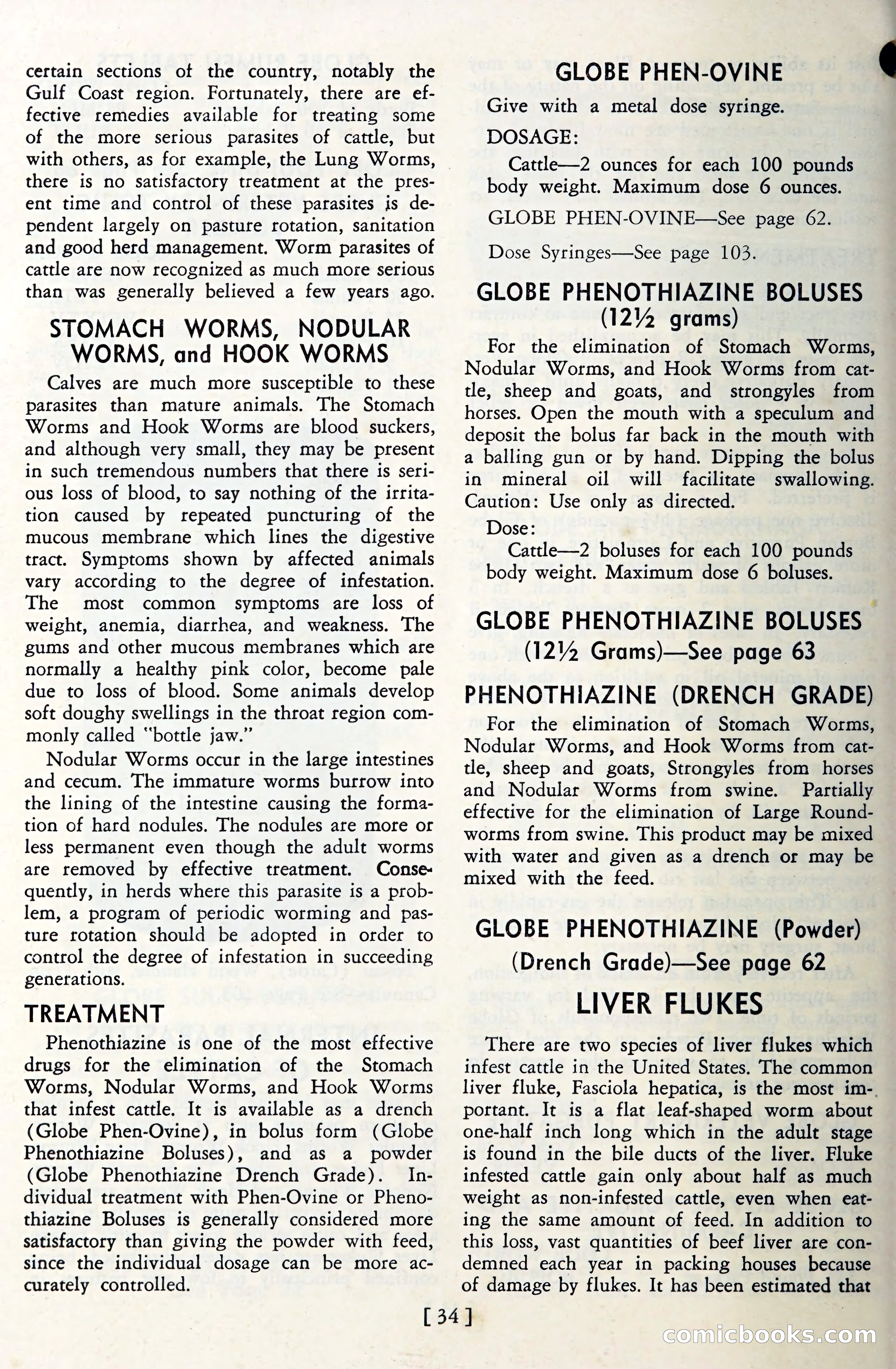 The Globe Blue Book — page 37 of 113