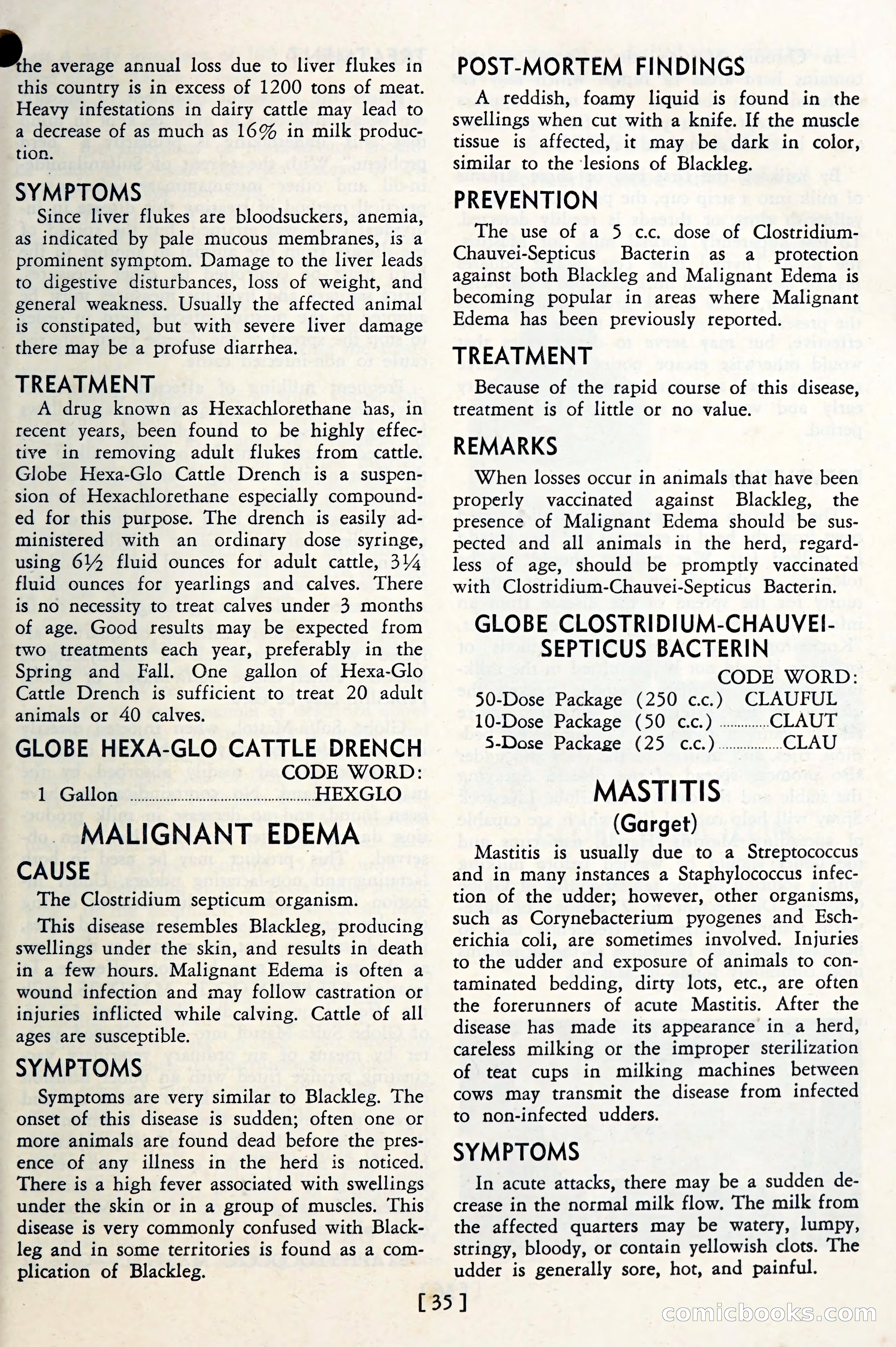 The Globe Blue Book — page 38 of 113