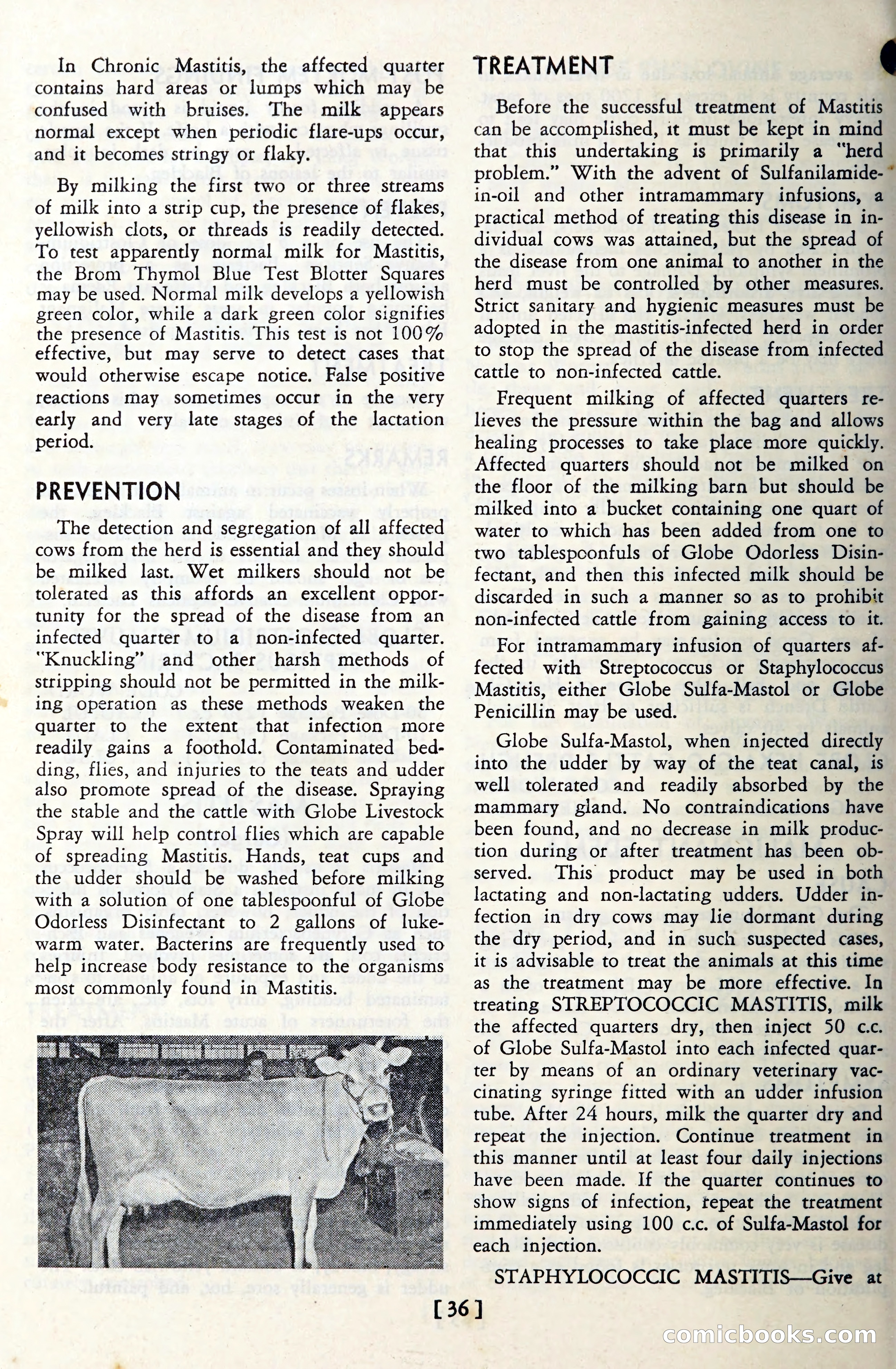 The Globe Blue Book — page 39 of 113