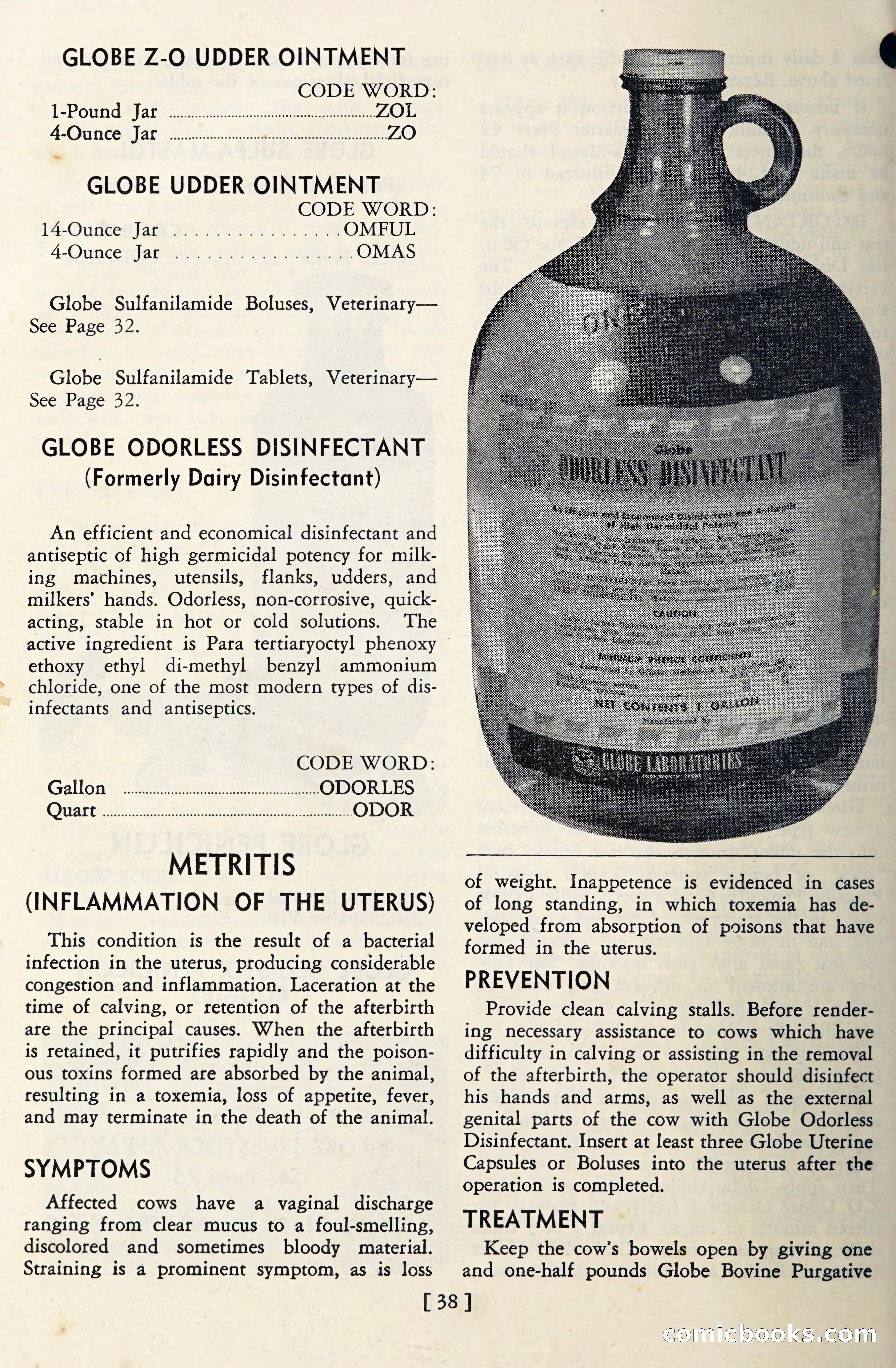 The Globe Blue Book — page 41 of 113