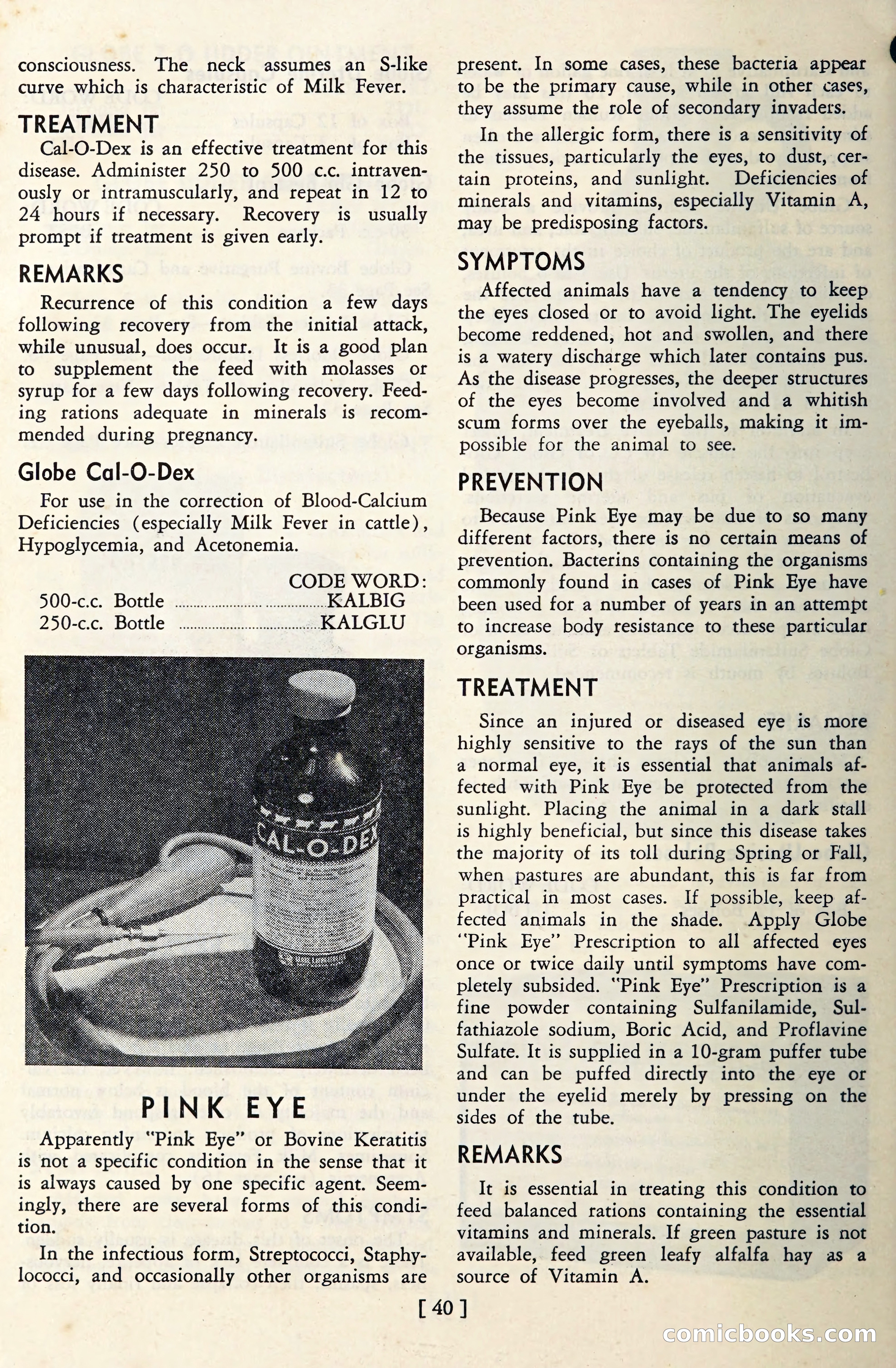 The Globe Blue Book — page 43 of 113