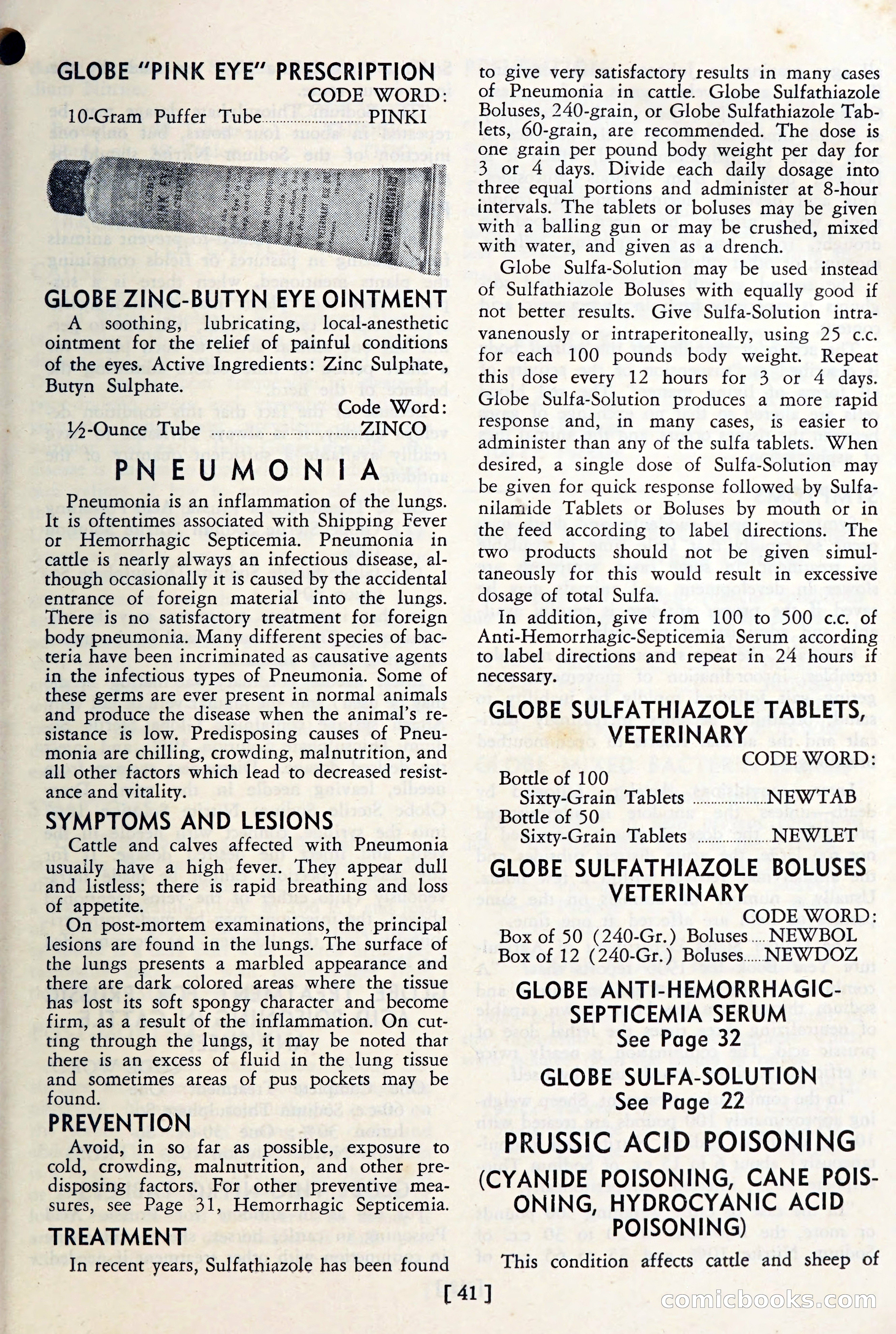 The Globe Blue Book — page 44 of 113