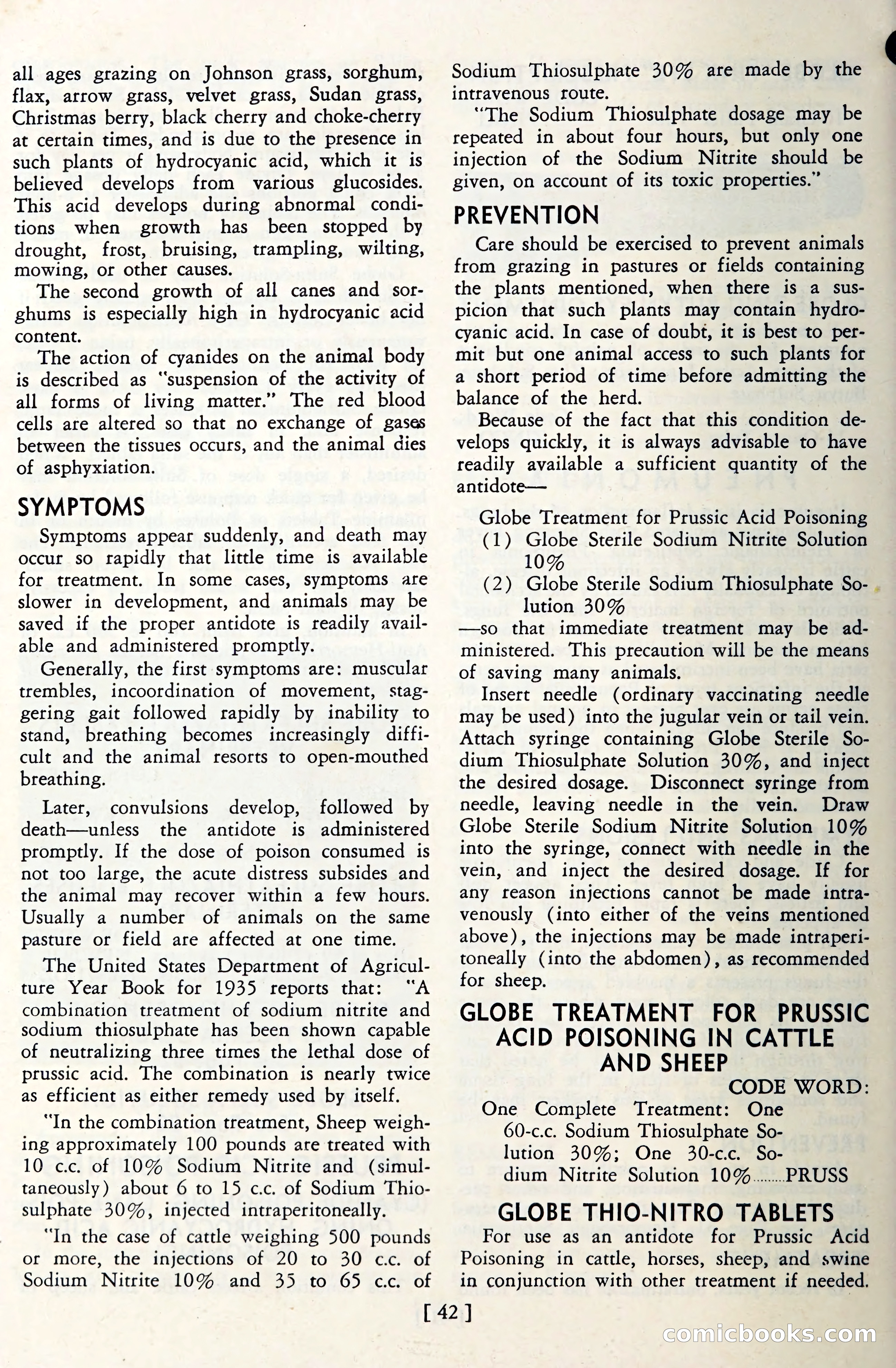 The Globe Blue Book — page 45 of 113