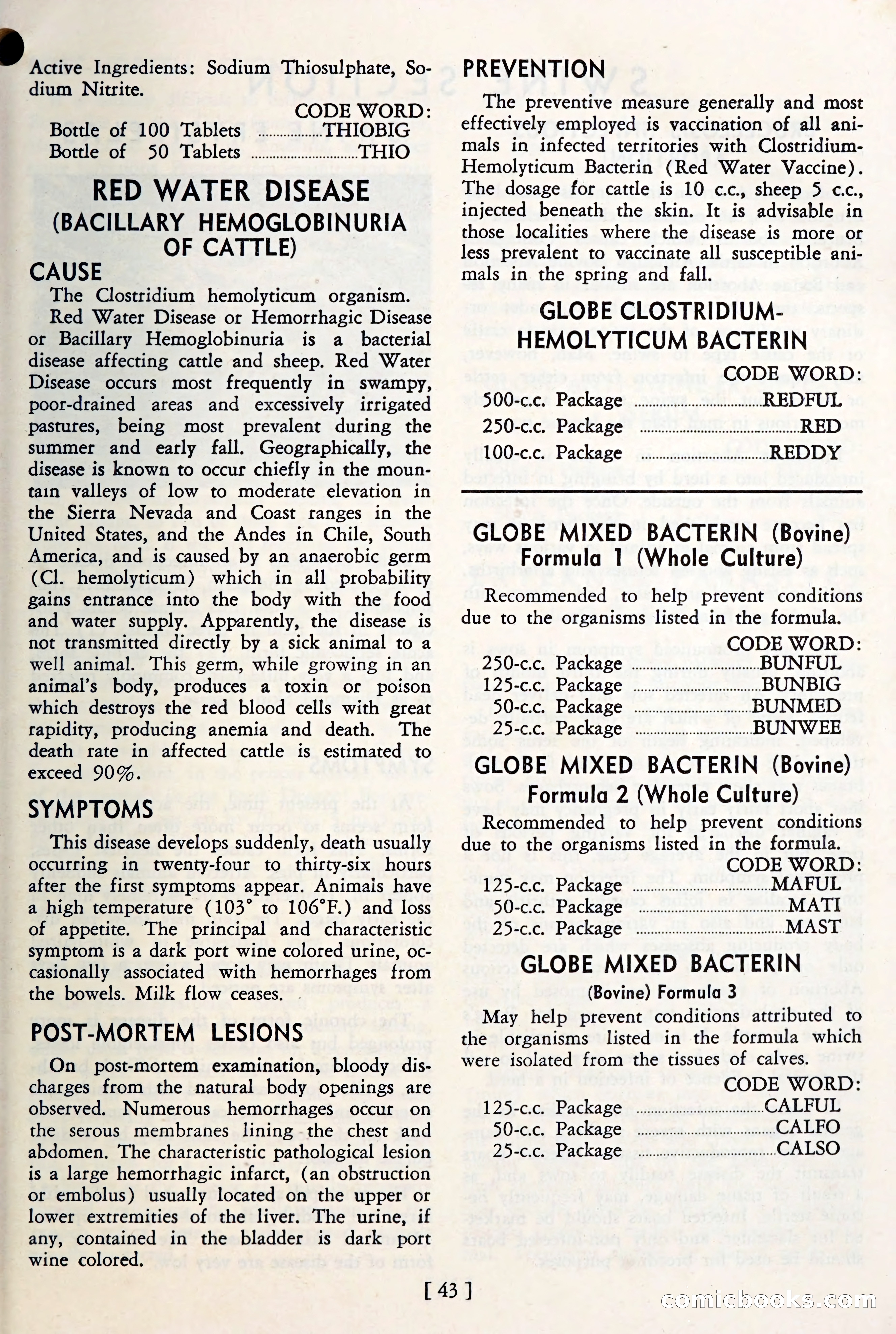 The Globe Blue Book — page 46 of 113