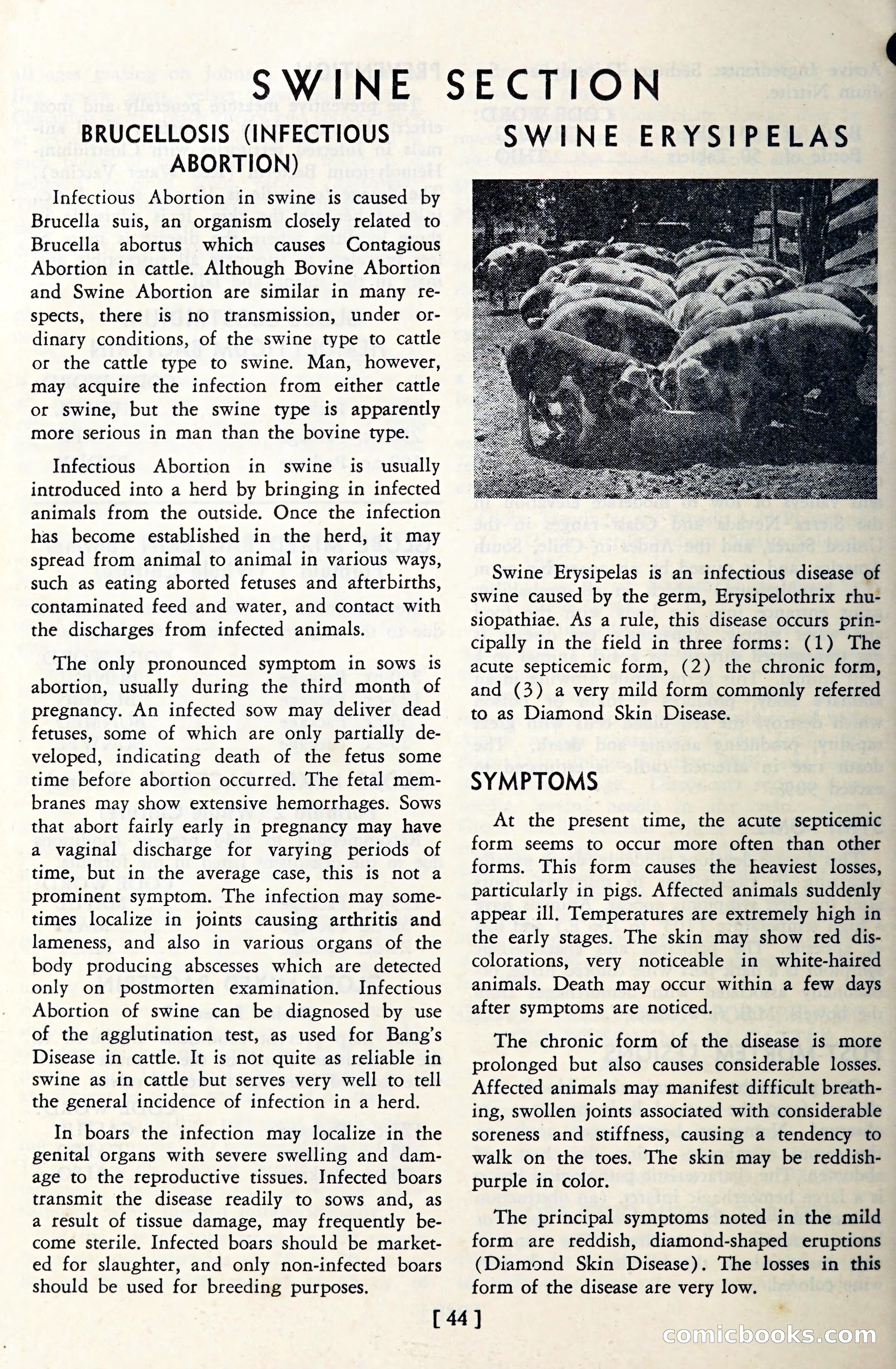 The Globe Blue Book — page 47 of 113