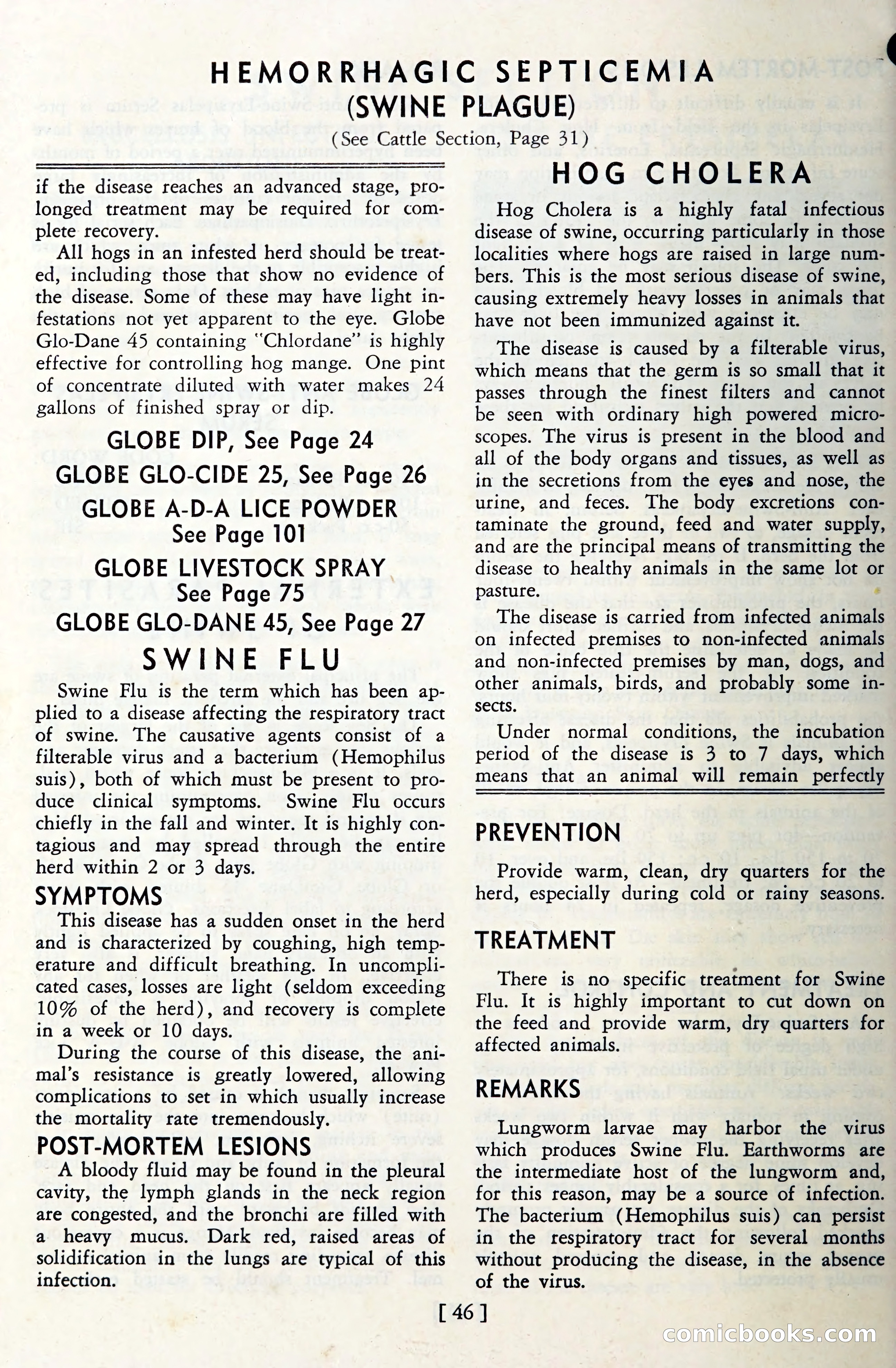 The Globe Blue Book — page 49 of 113