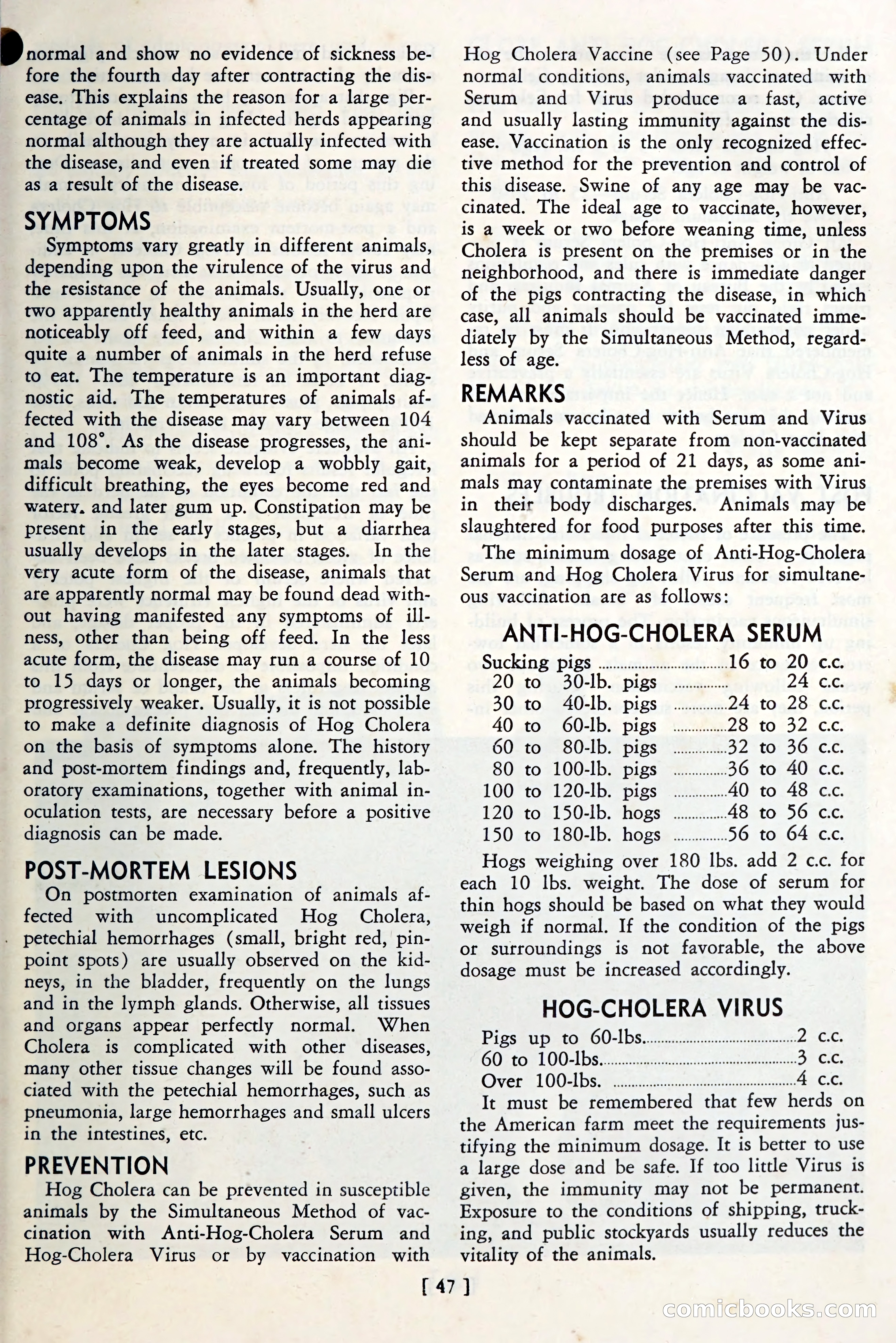 The Globe Blue Book — page 50 of 113