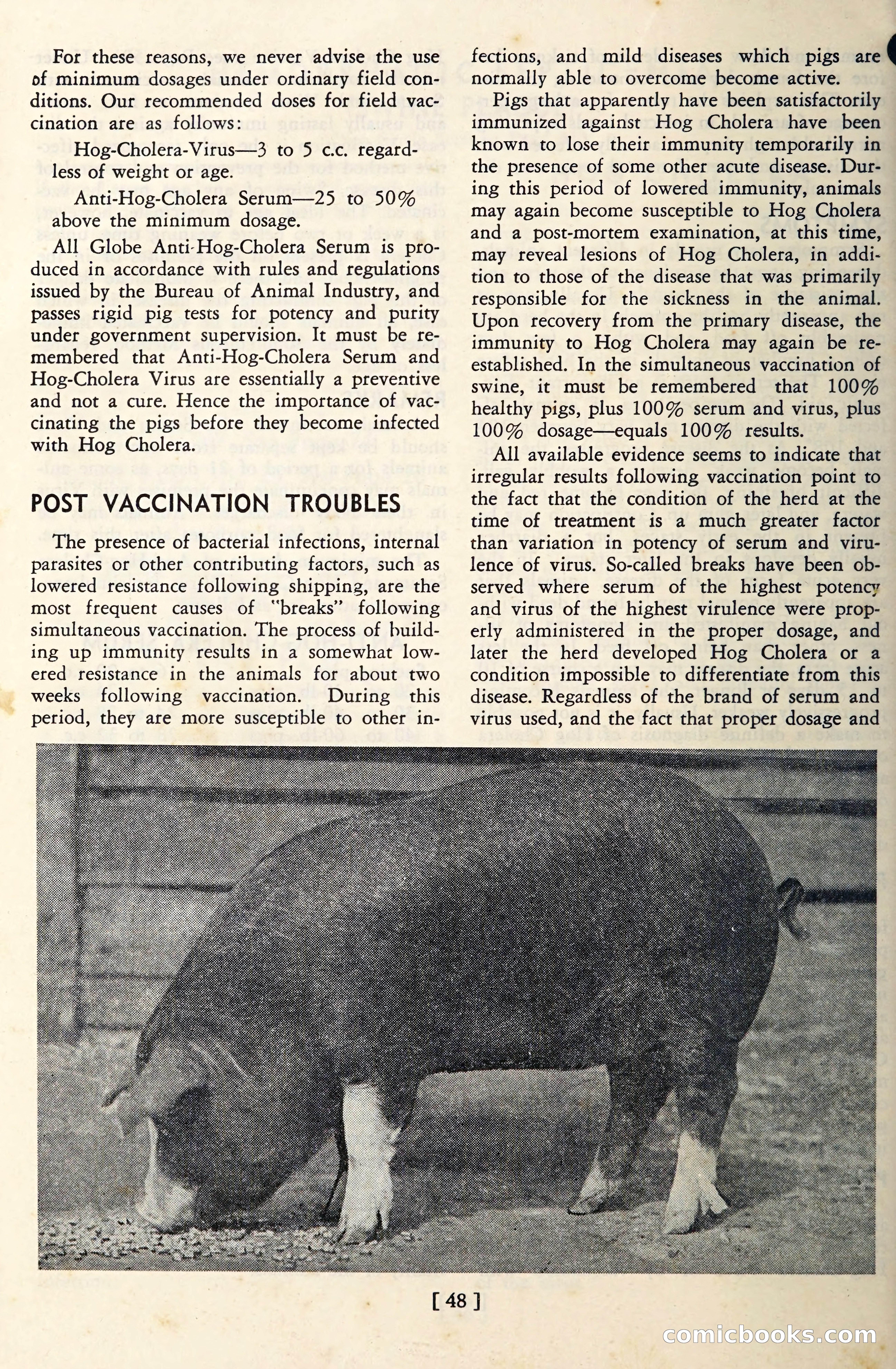 The Globe Blue Book — page 51 of 113