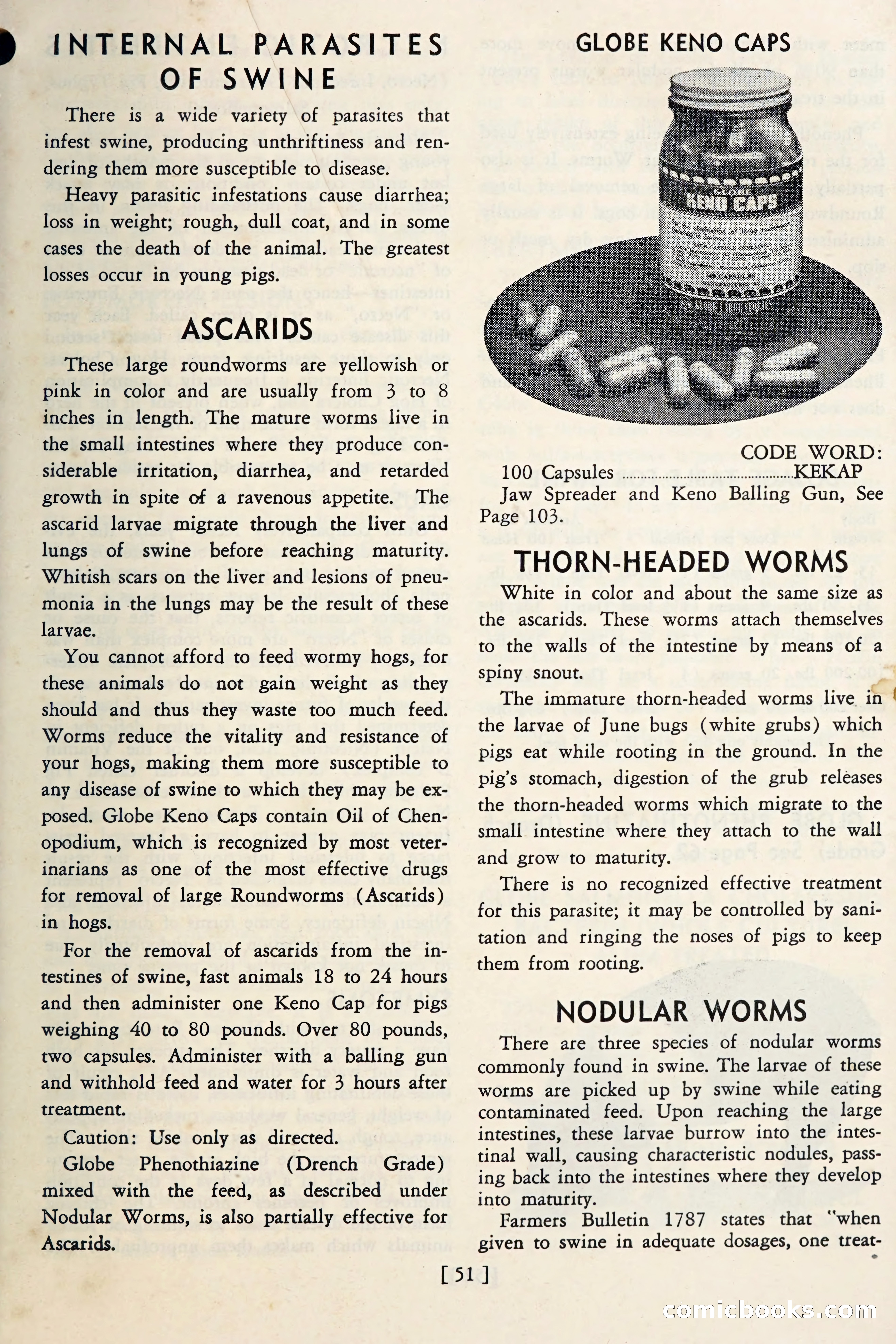 The Globe Blue Book — page 54 of 113
