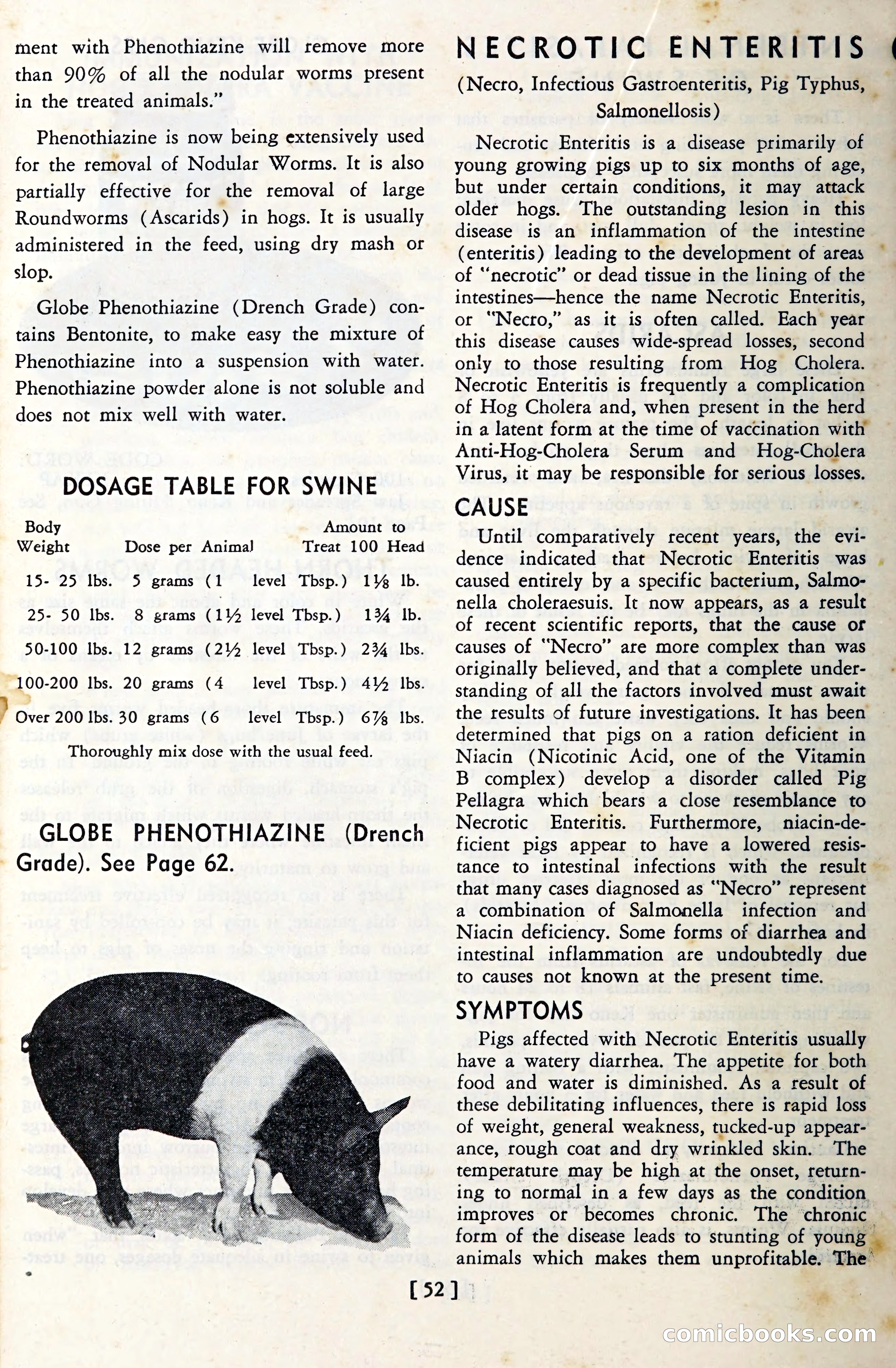 The Globe Blue Book — page 55 of 113