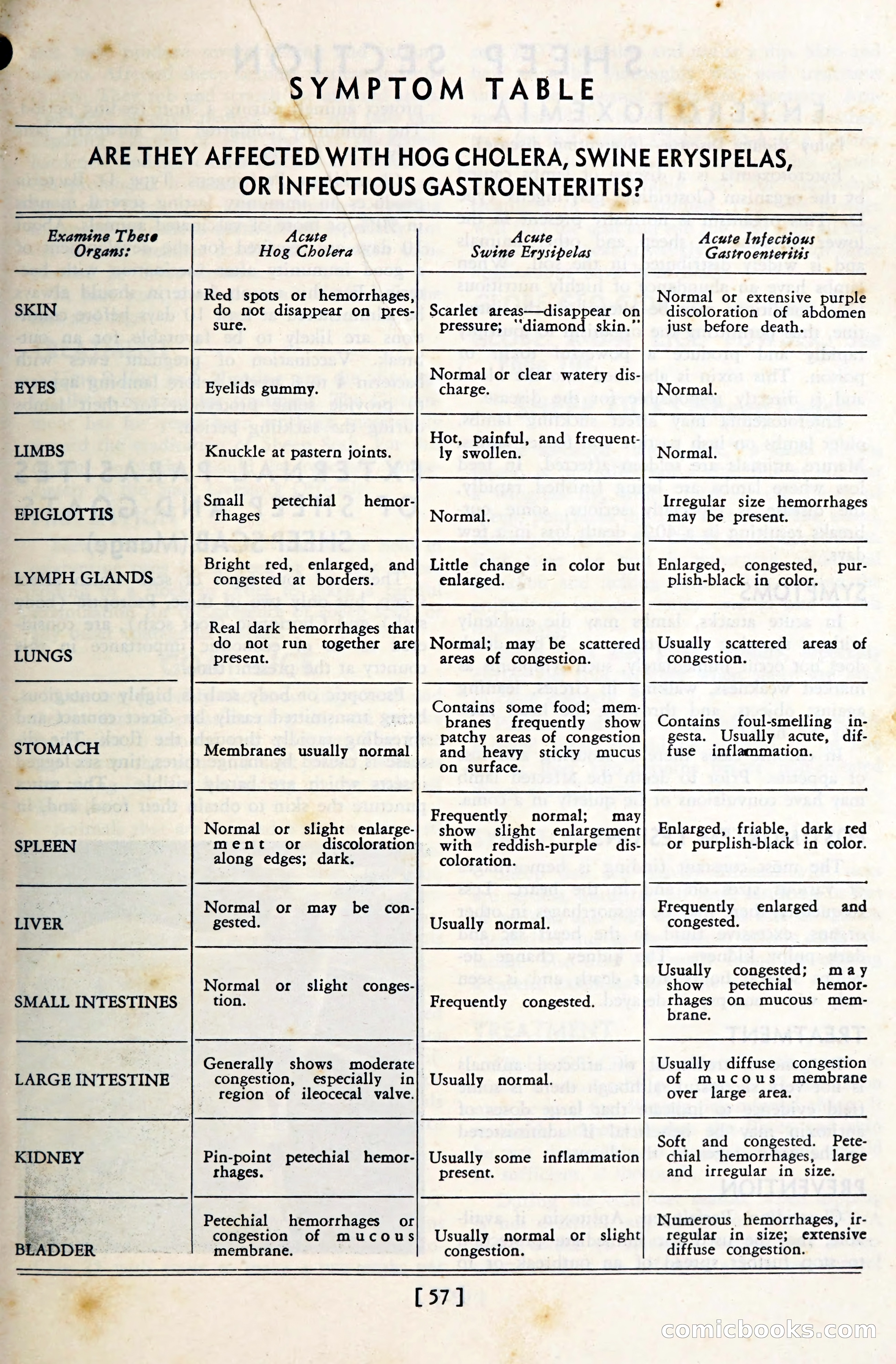 The Globe Blue Book — page 60 of 113