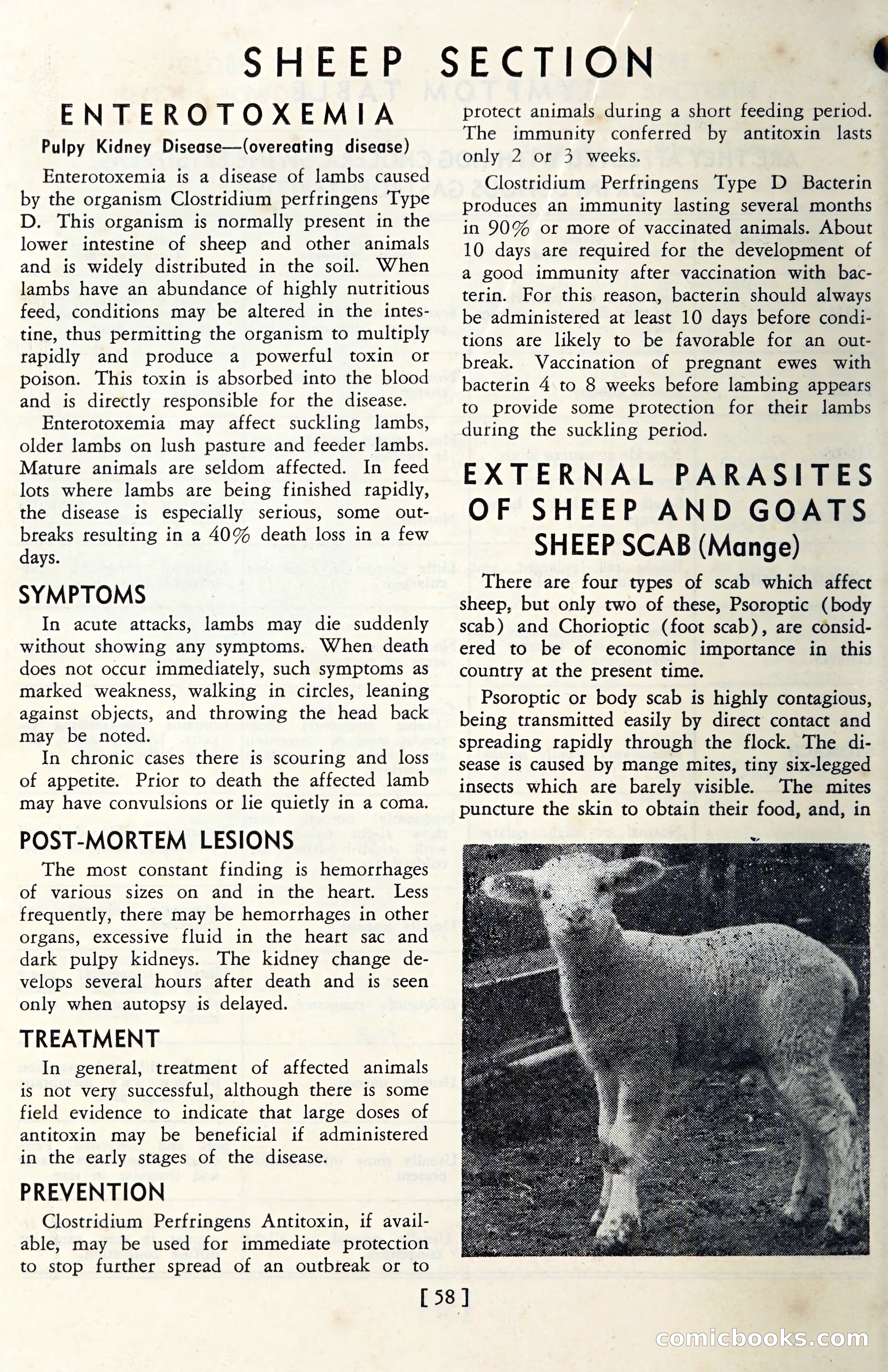 The Globe Blue Book — page 61 of 113
