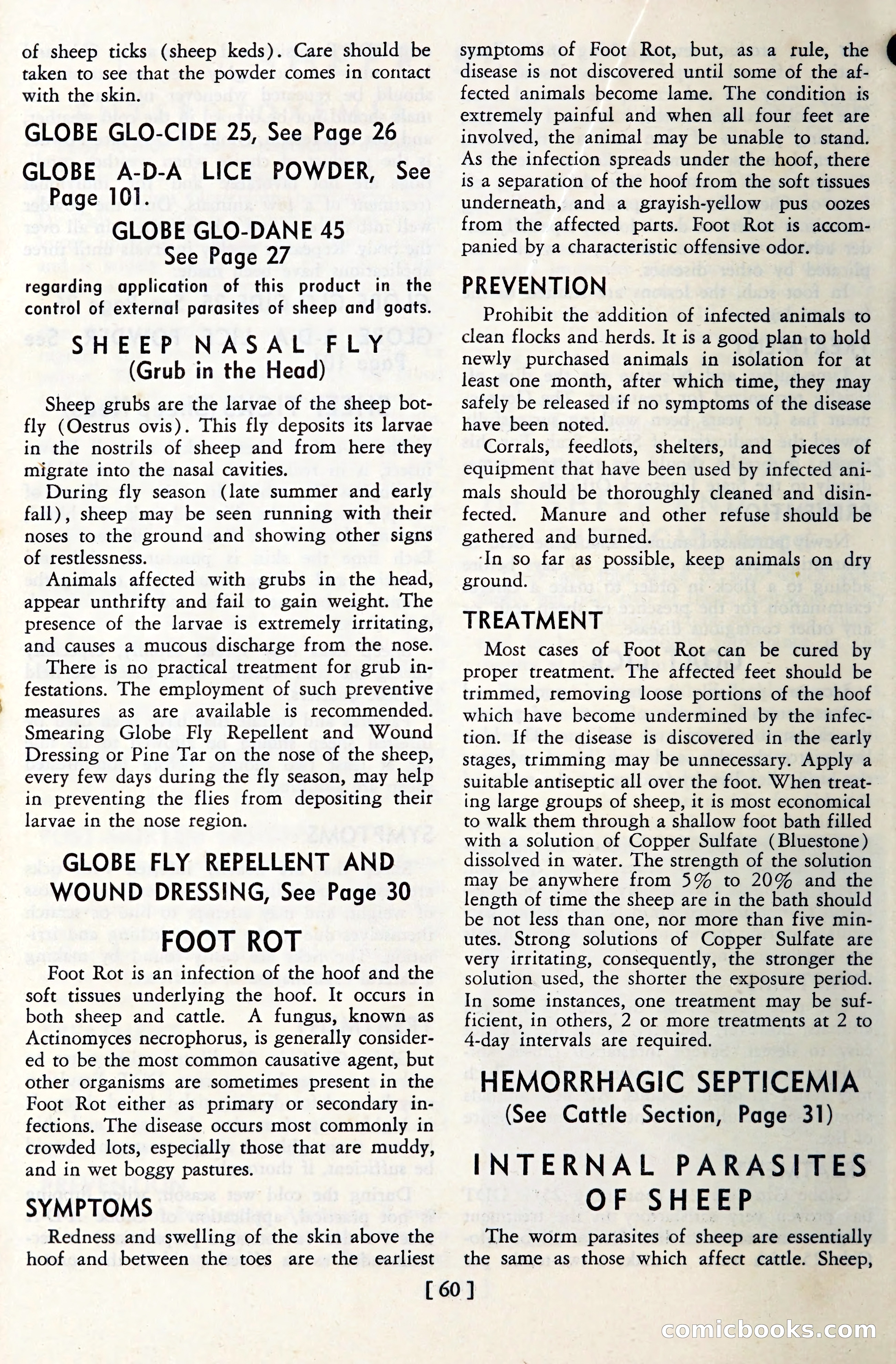 The Globe Blue Book — page 63 of 113