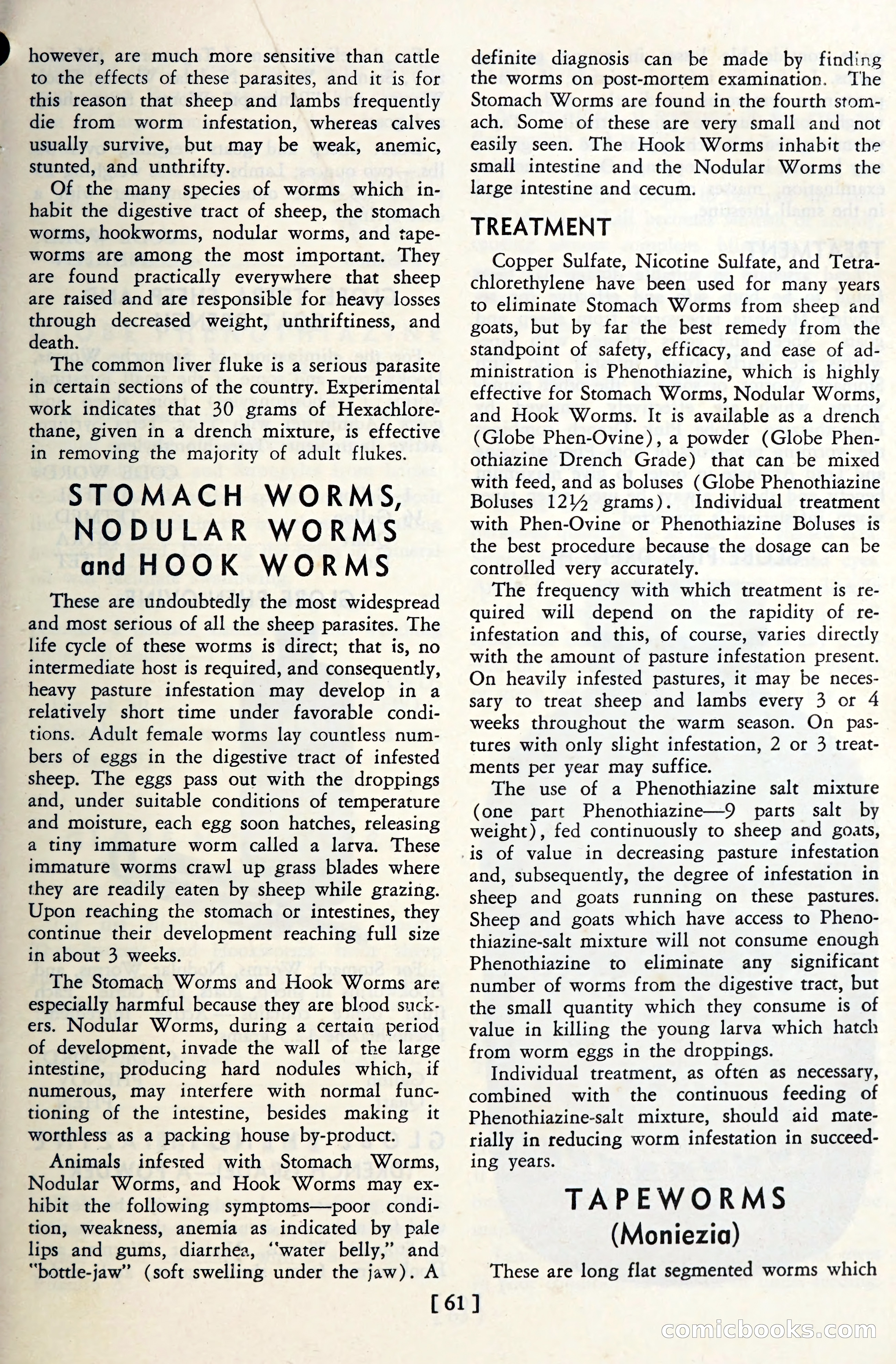 The Globe Blue Book — page 64 of 113