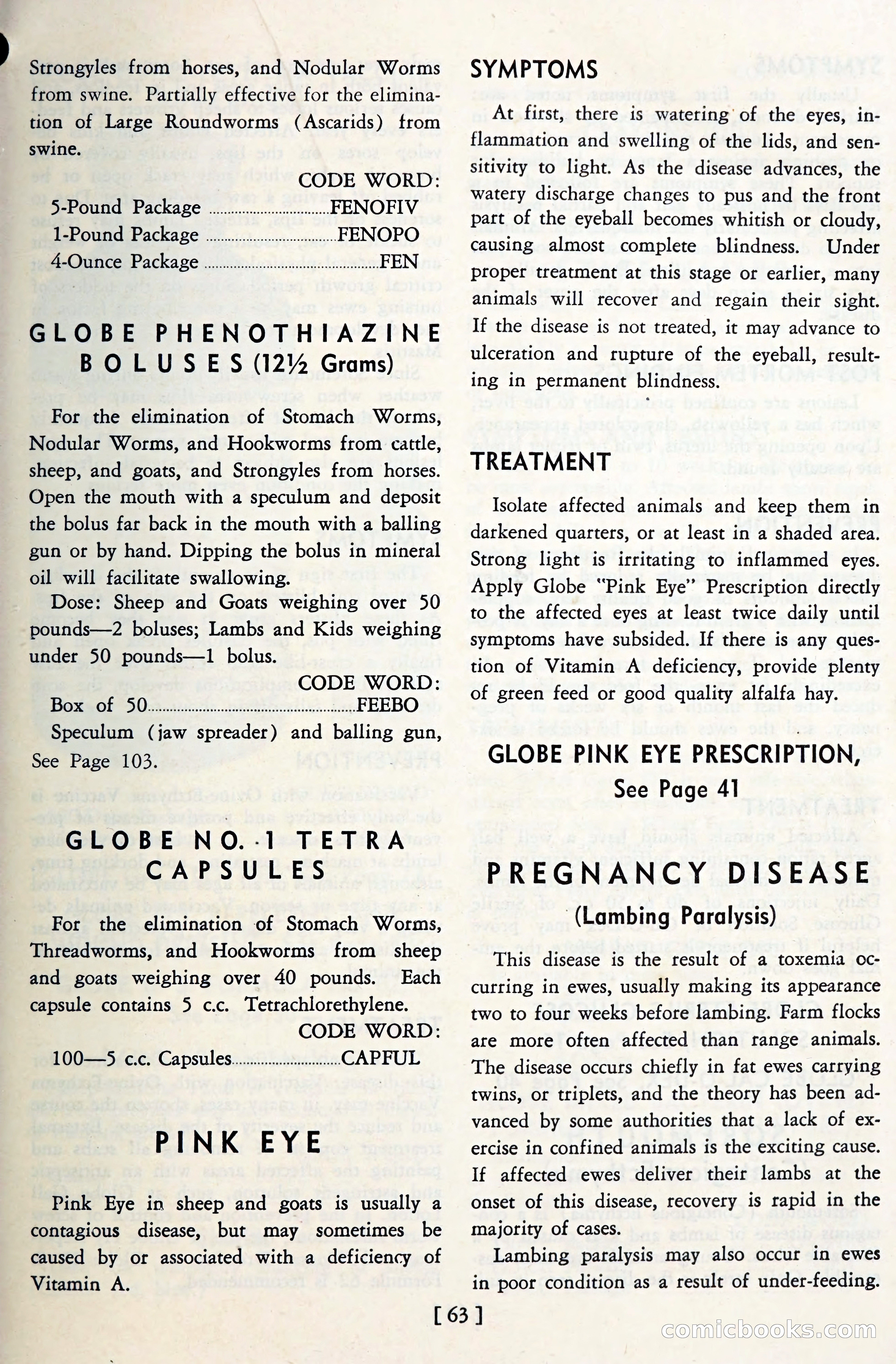 The Globe Blue Book — page 66 of 113