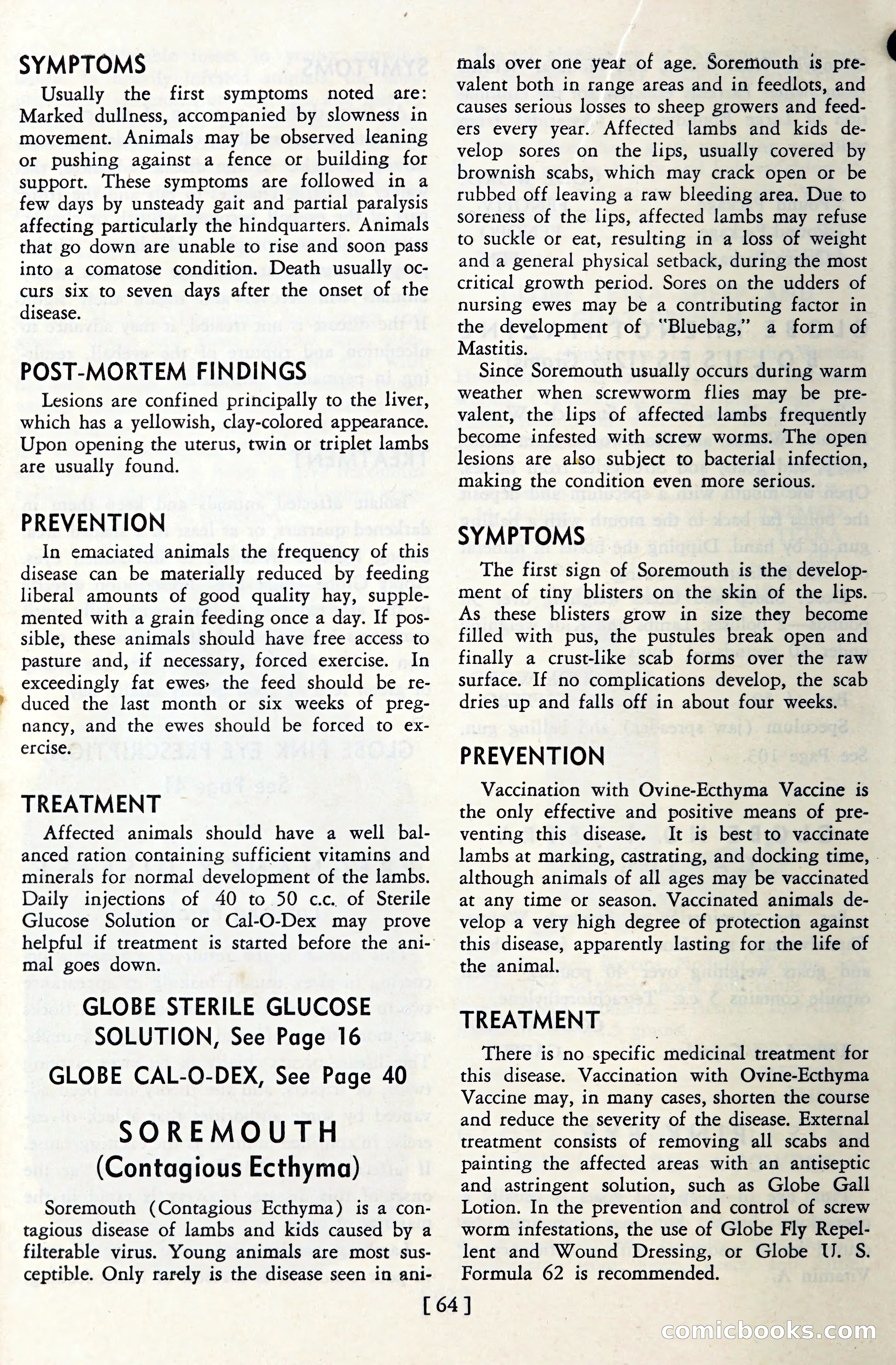 The Globe Blue Book — page 67 of 113
