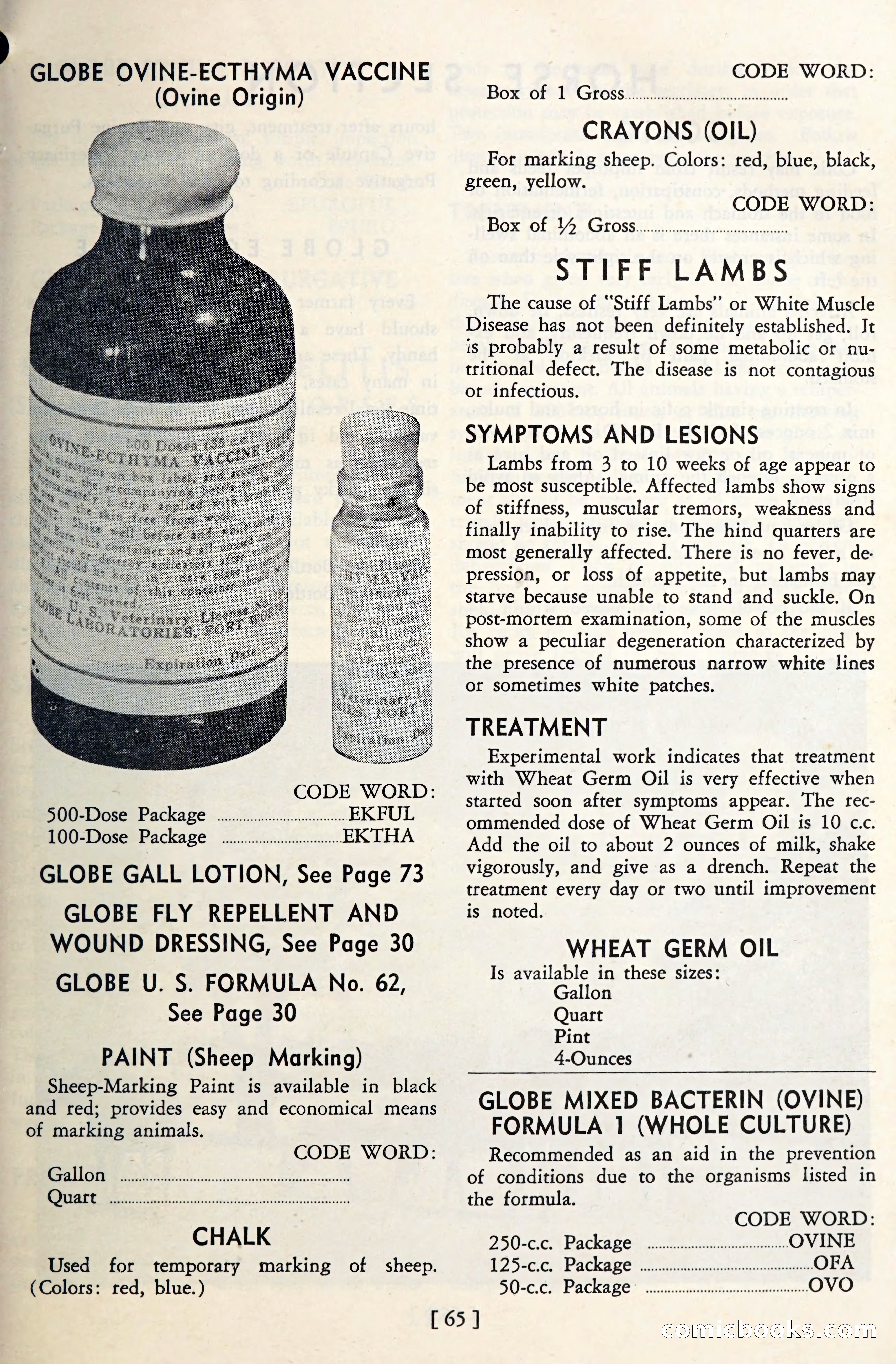 The Globe Blue Book — page 68 of 113