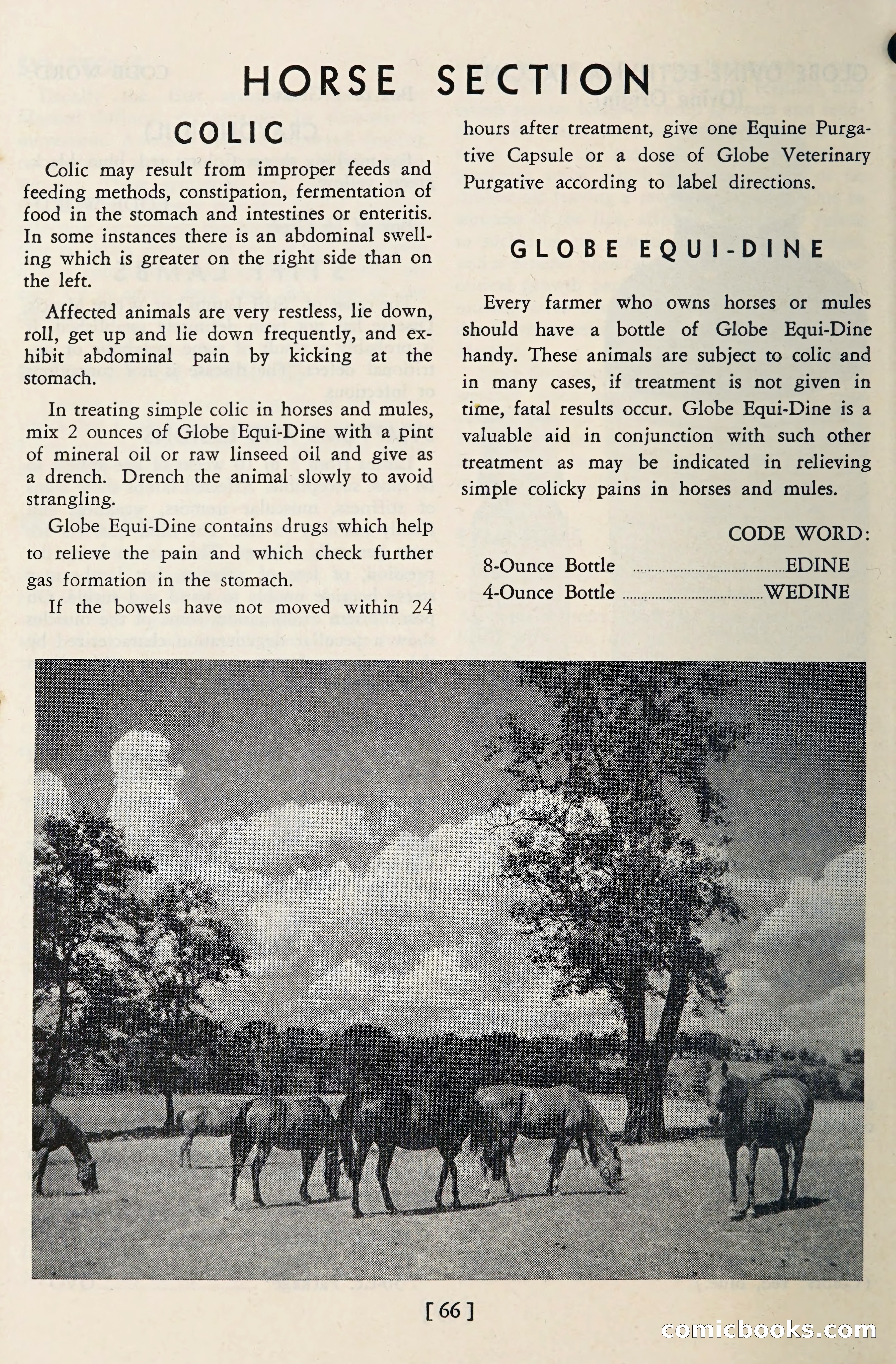 The Globe Blue Book — page 69 of 113