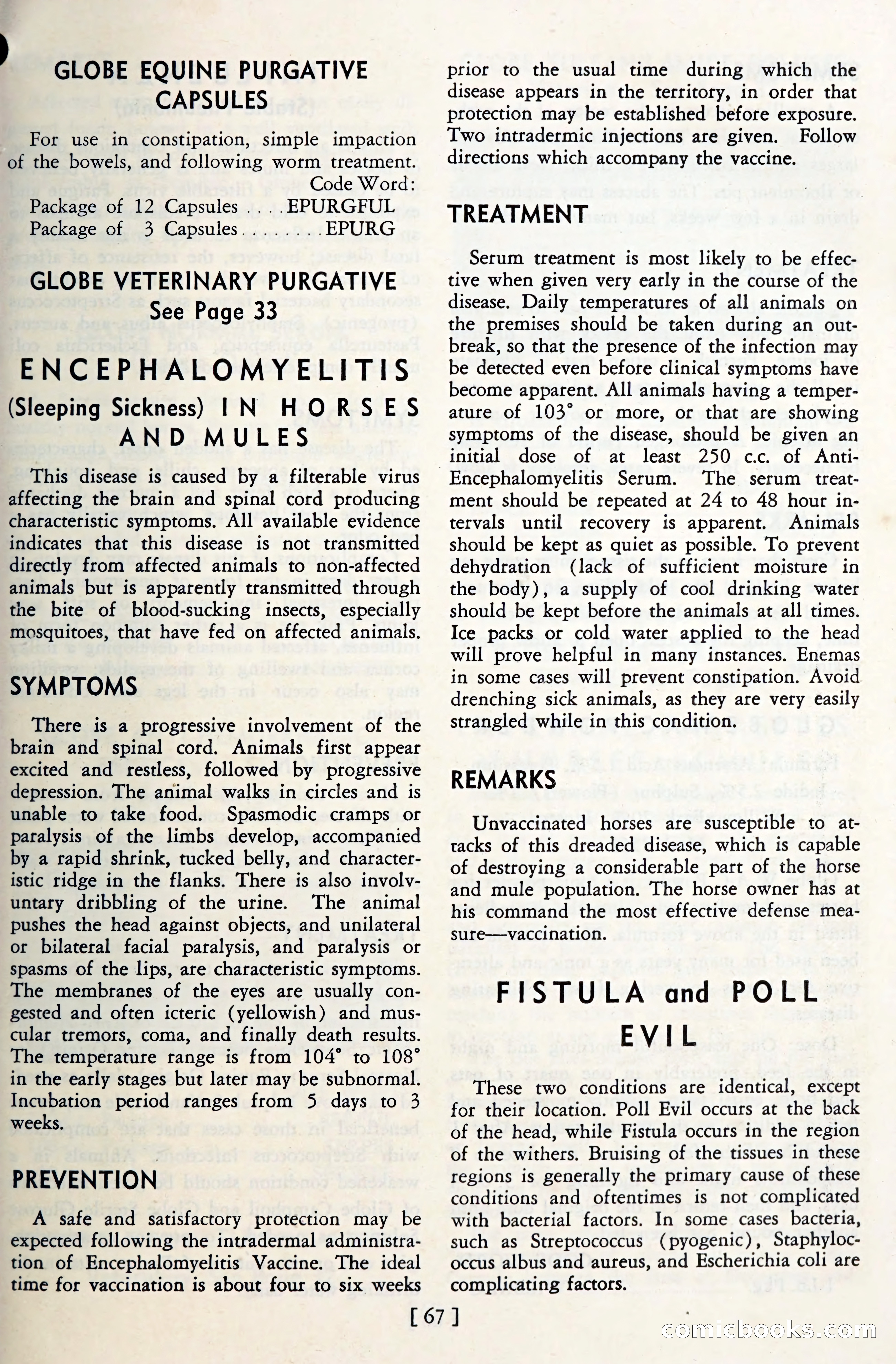 The Globe Blue Book — page 70 of 113