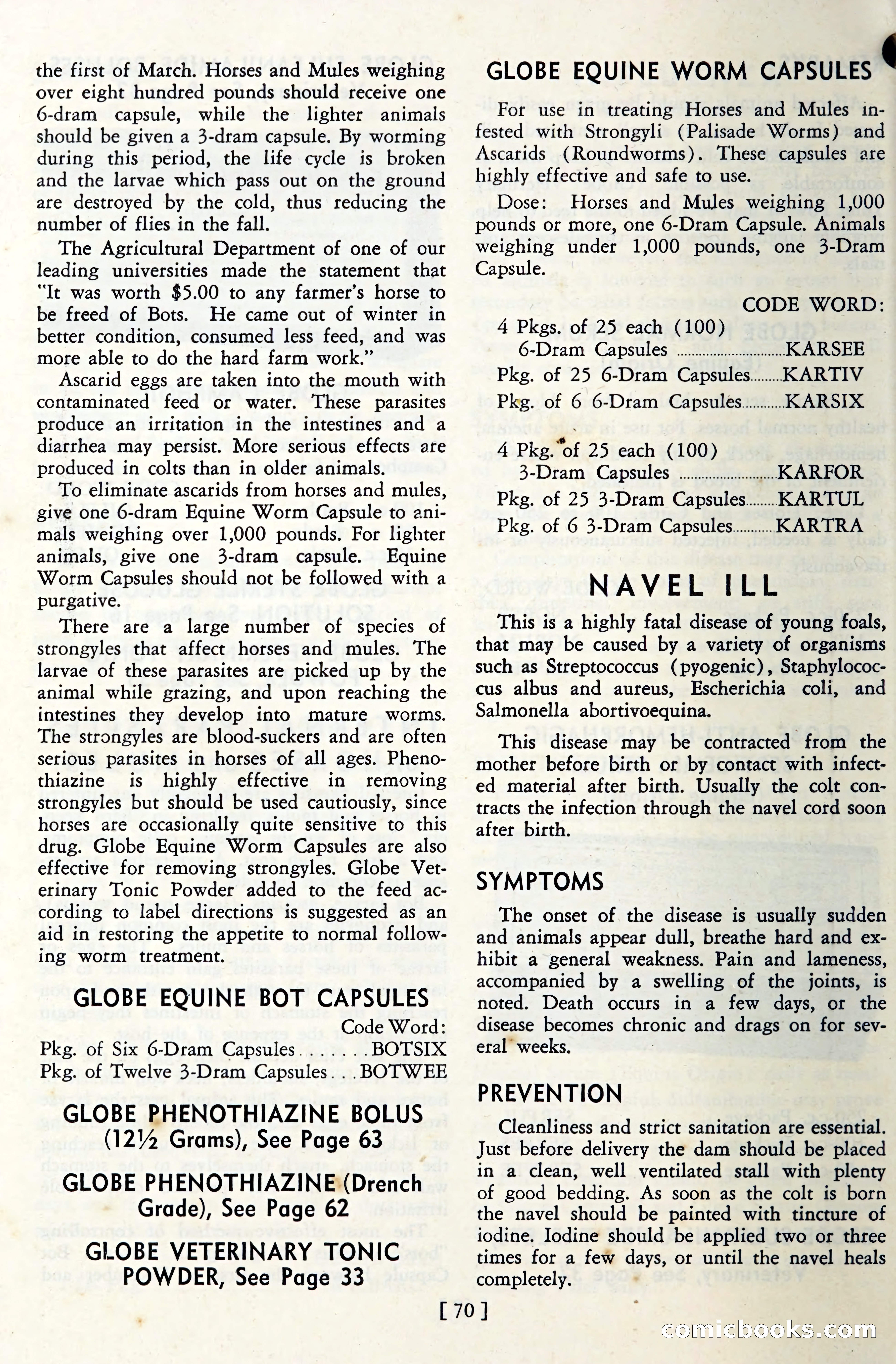 The Globe Blue Book — page 73 of 113