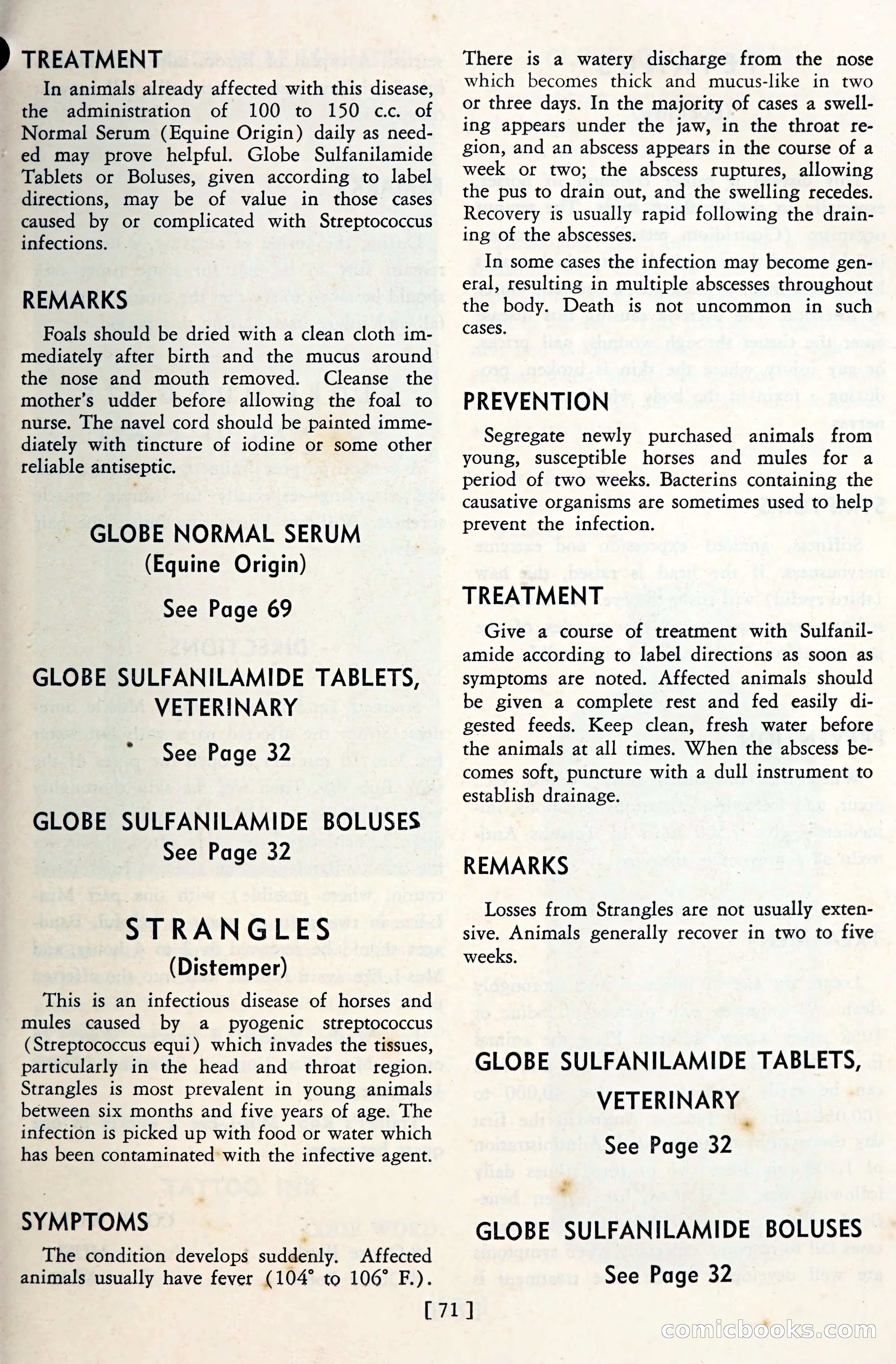 The Globe Blue Book — page 74 of 113