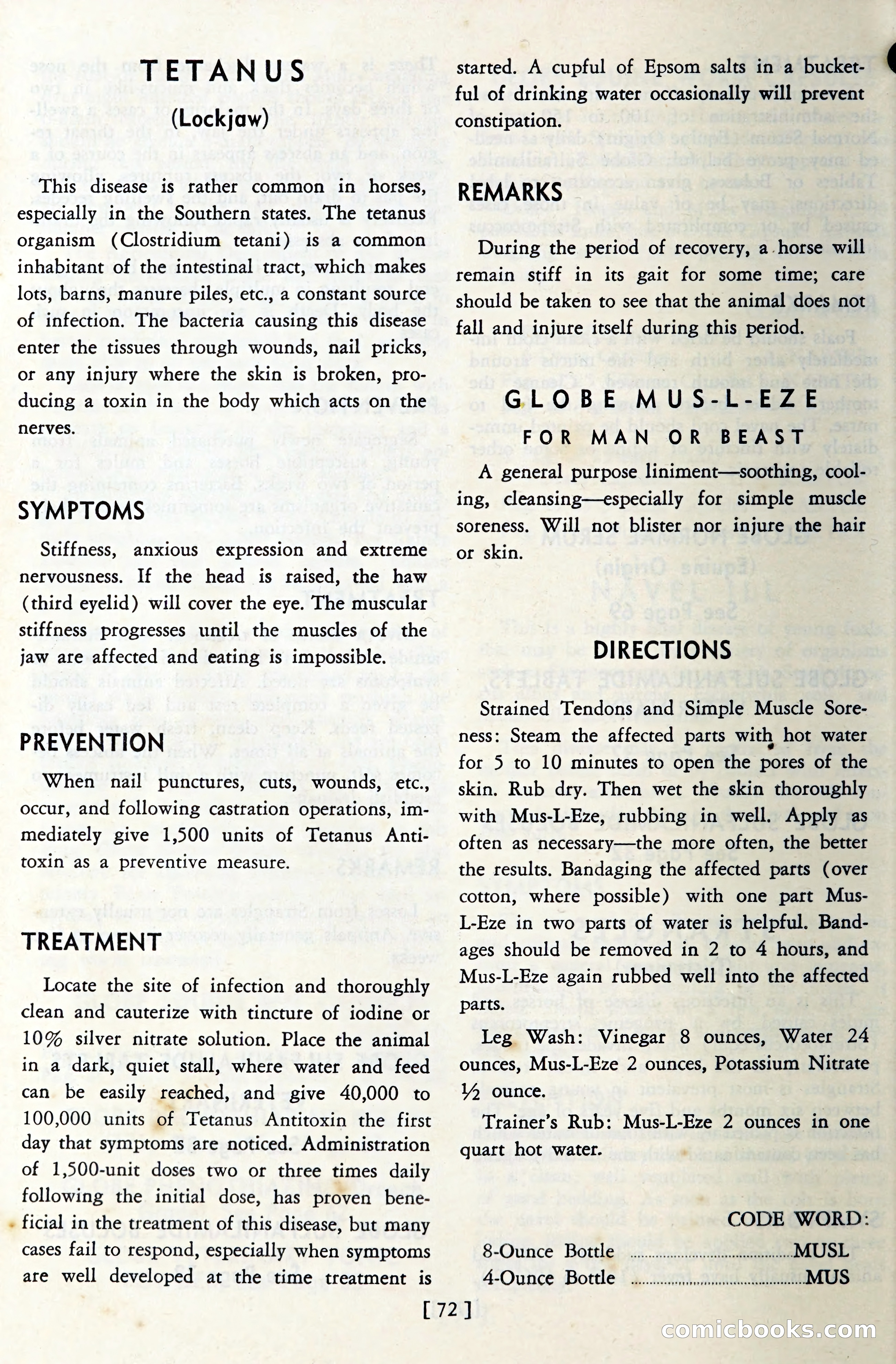 The Globe Blue Book — page 75 of 113
