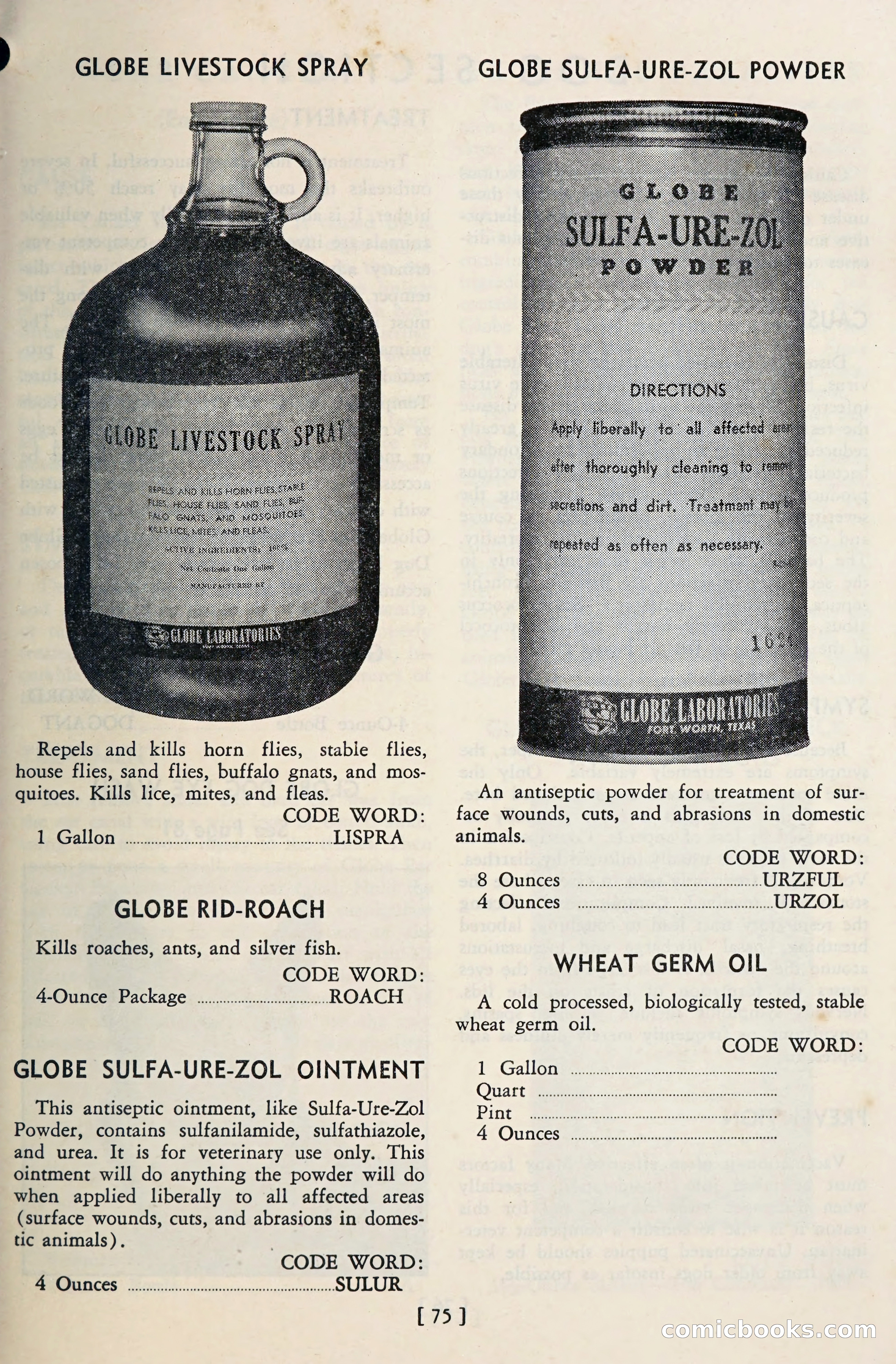 The Globe Blue Book — page 78 of 113