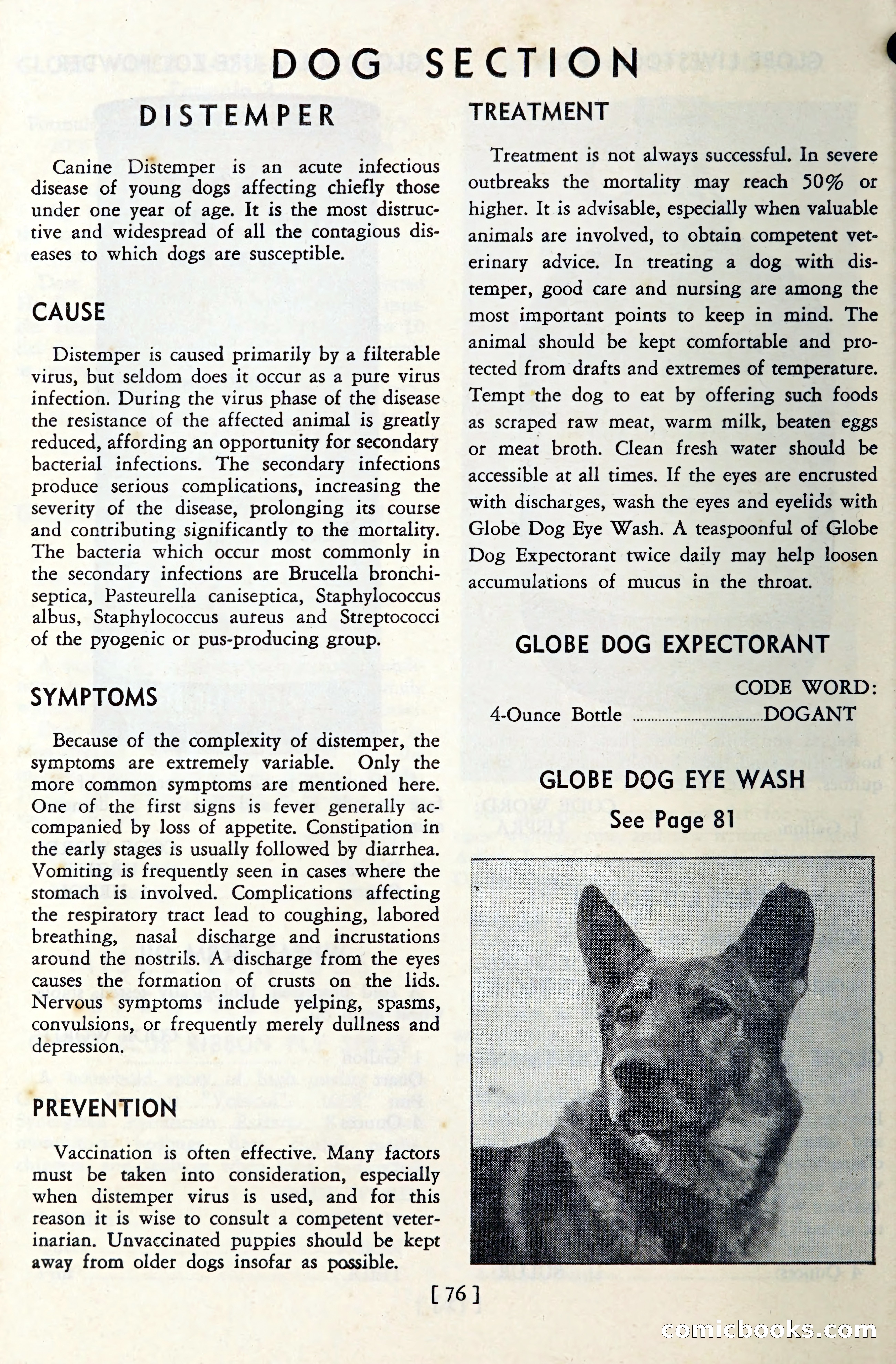 The Globe Blue Book — page 79 of 113