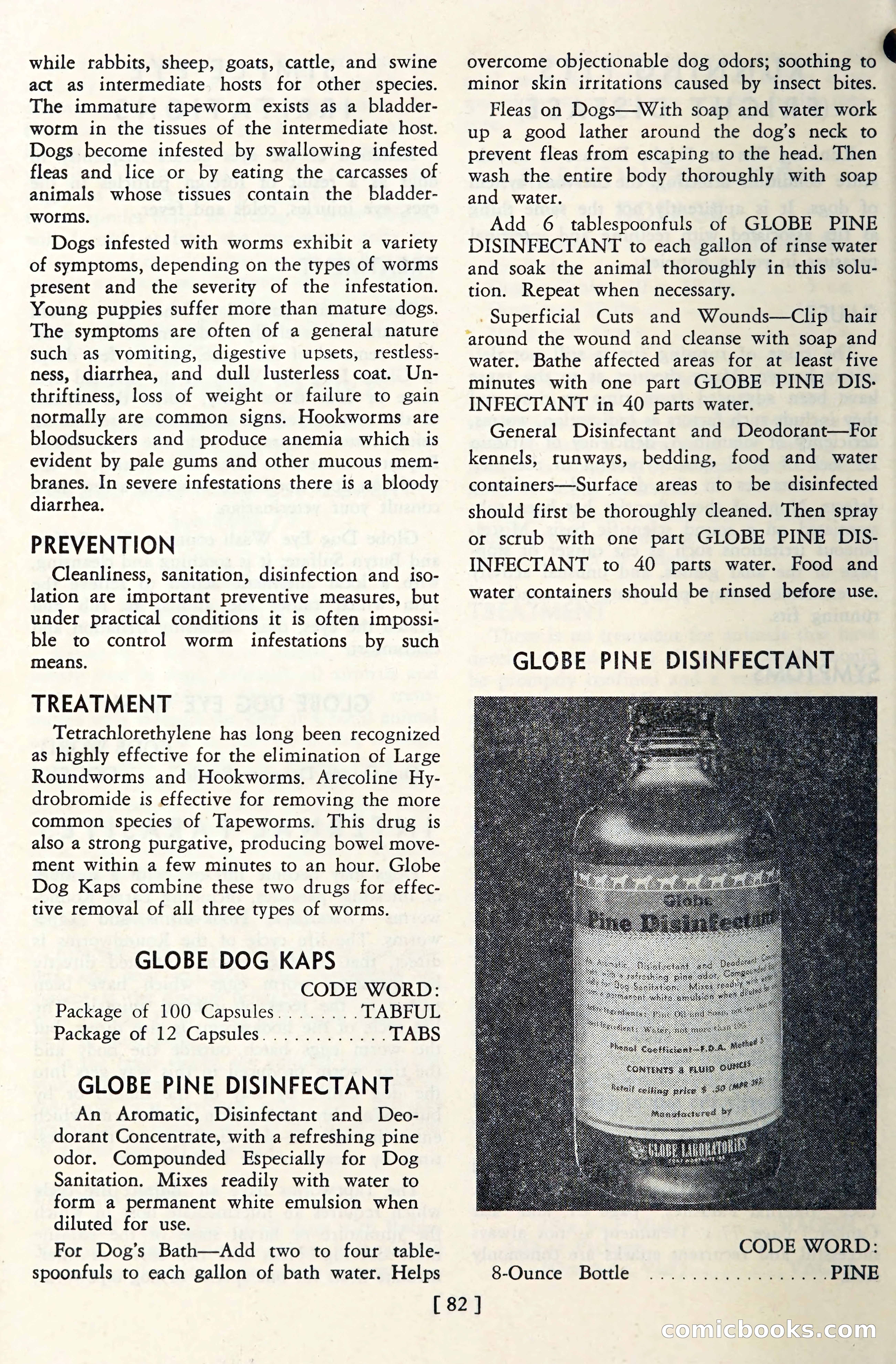 The Globe Blue Book — page 85 of 113