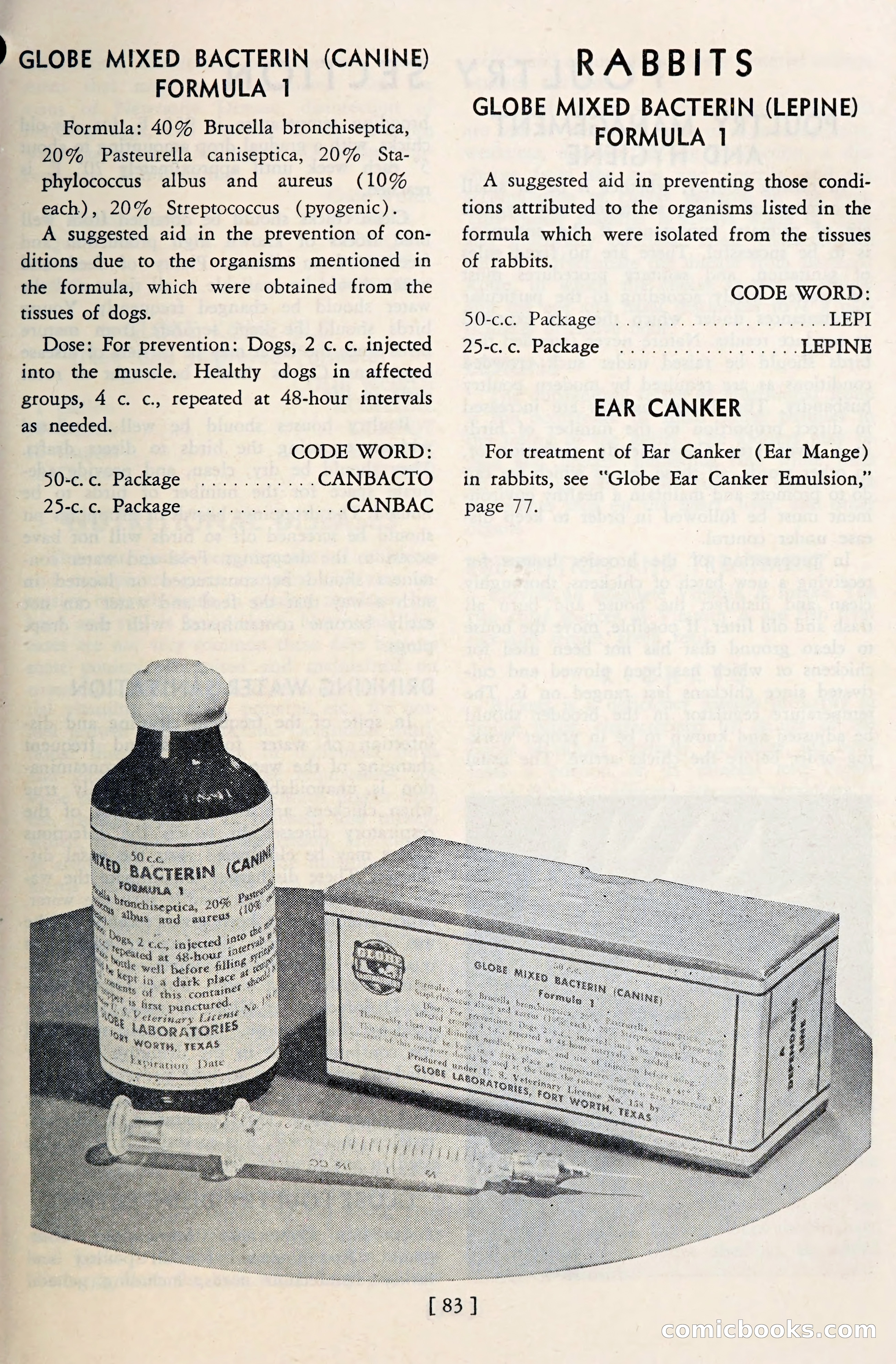 The Globe Blue Book — page 86 of 113