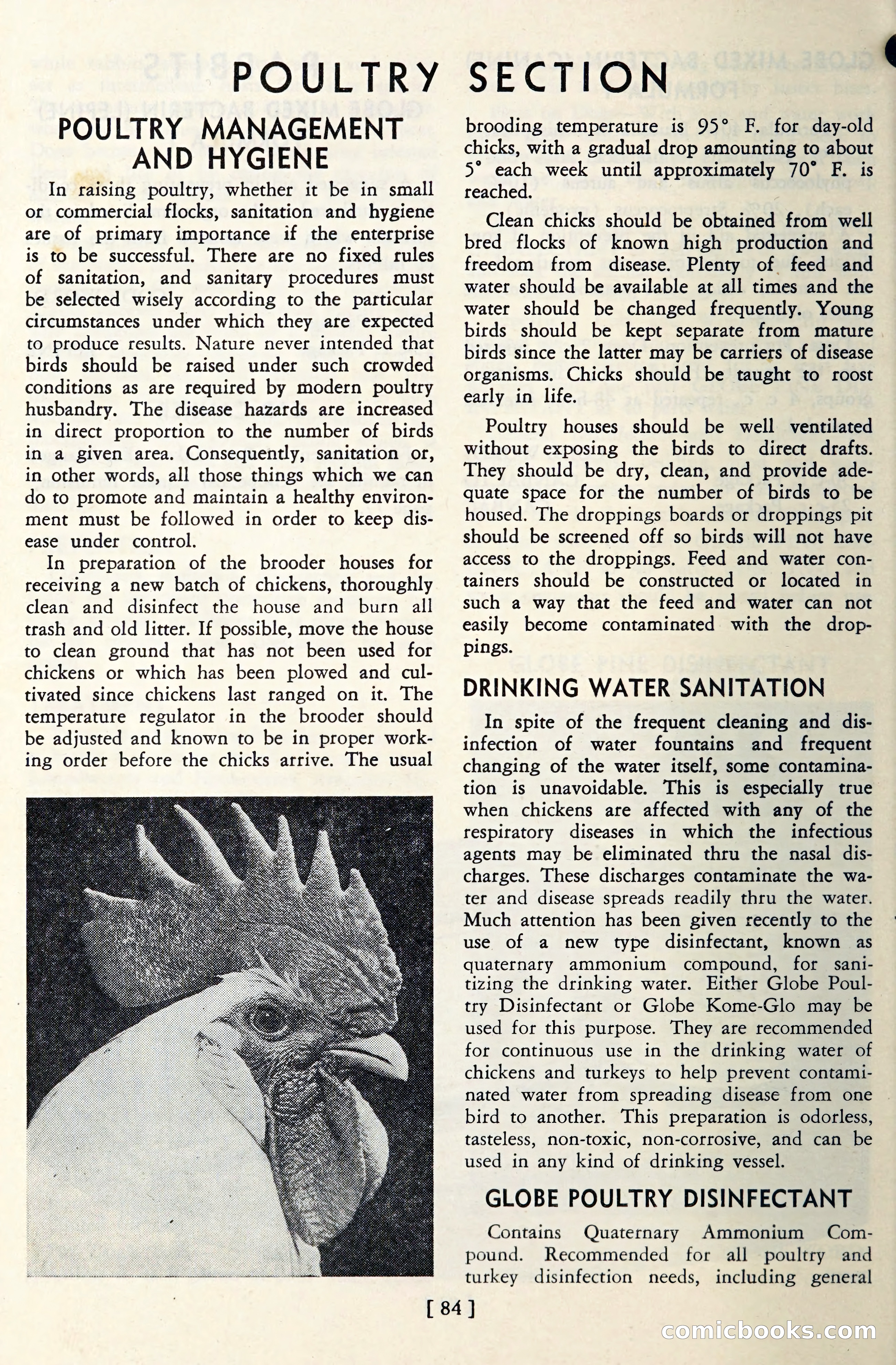 The Globe Blue Book — page 87 of 113
