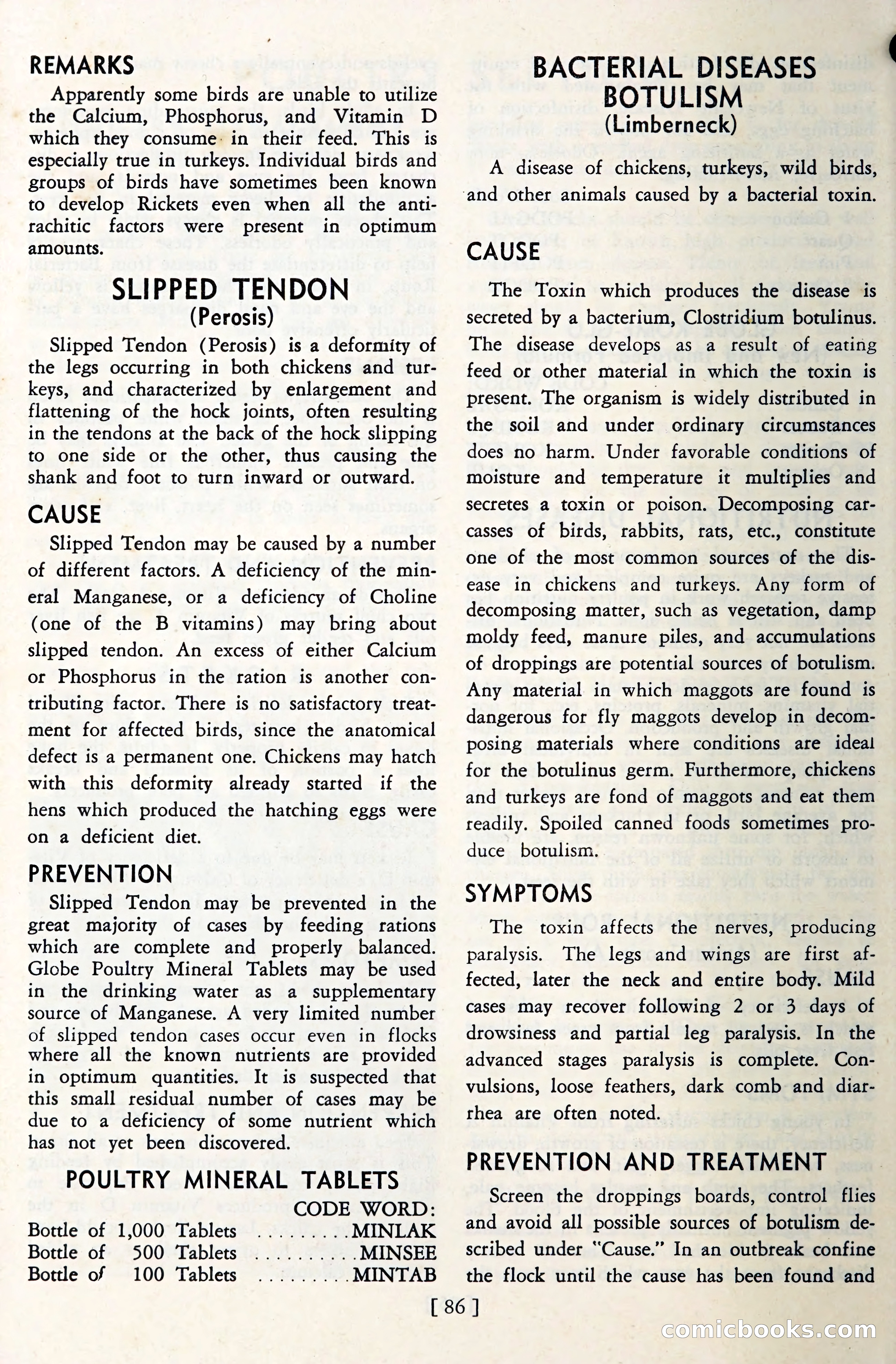 The Globe Blue Book — page 89 of 113