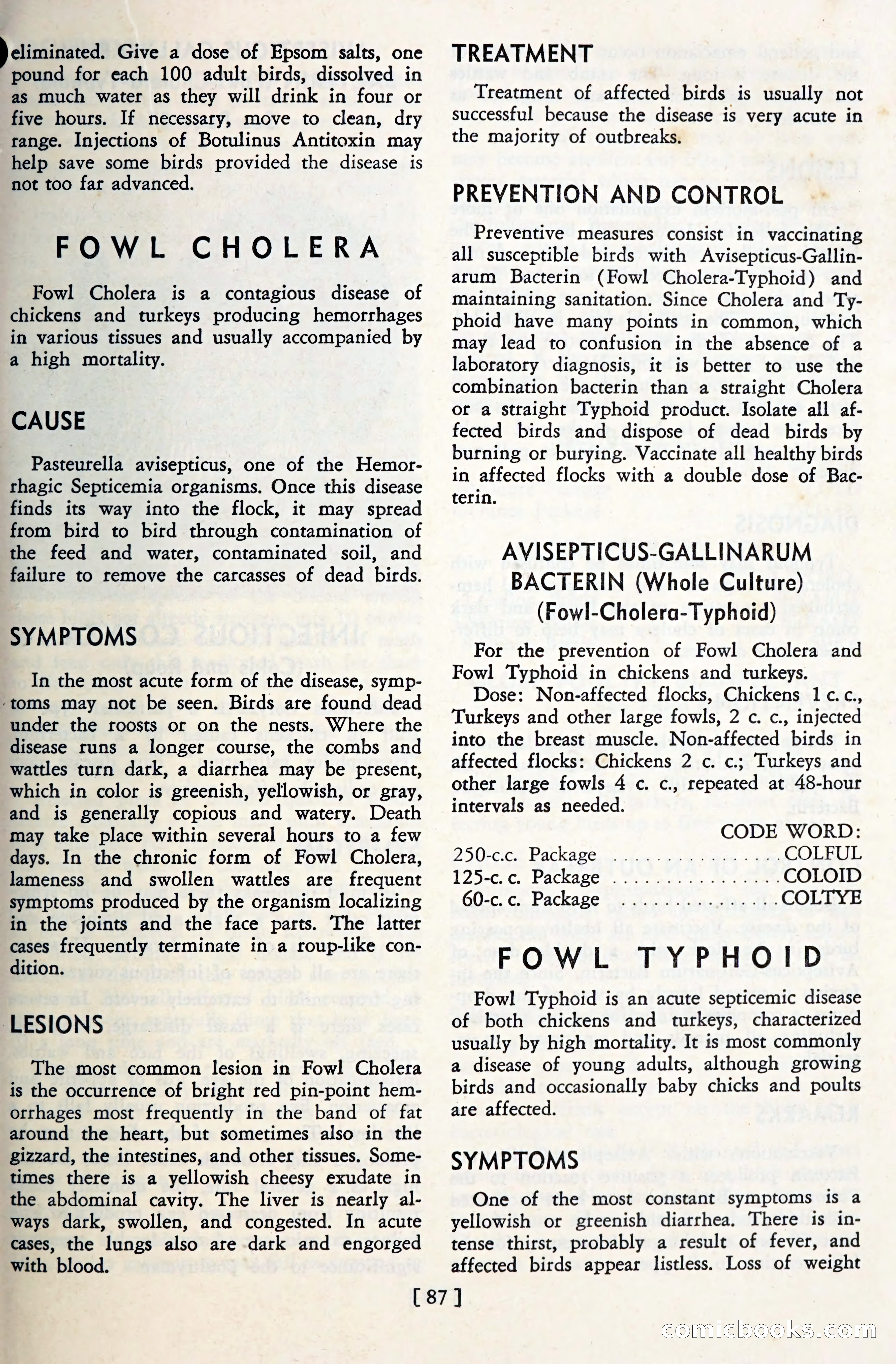 The Globe Blue Book — page 90 of 113